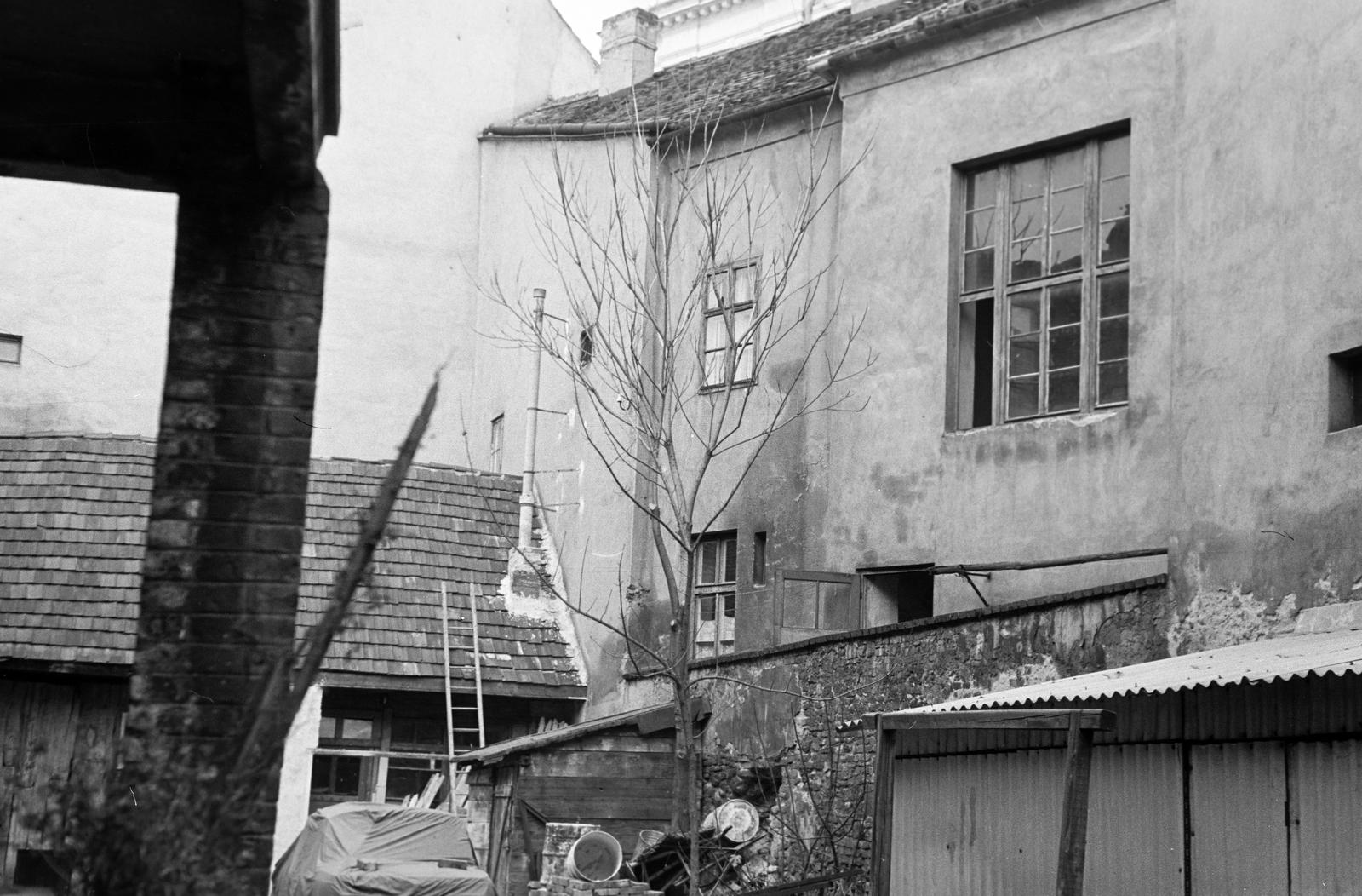 Magyarország, 1974, Gazda Anikó, Fortepan #307567