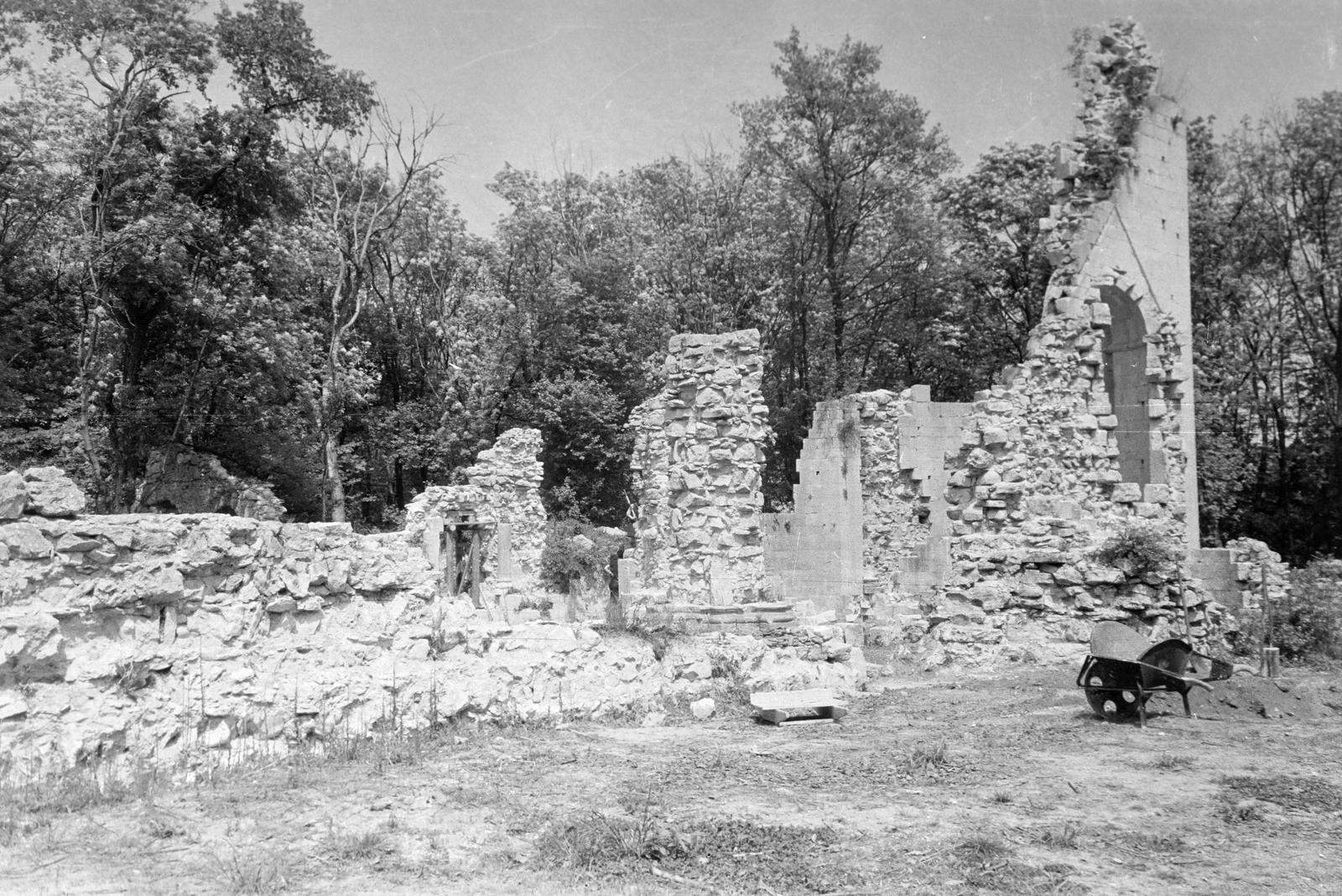 Magyarország, Oroszlány,Vértesszentkereszt, a bencés apátság és az apátsági templom romjai., 1958, Gazda Anikó, várrom, rom, terméskő, talicska, templomrom, Fortepan #307576