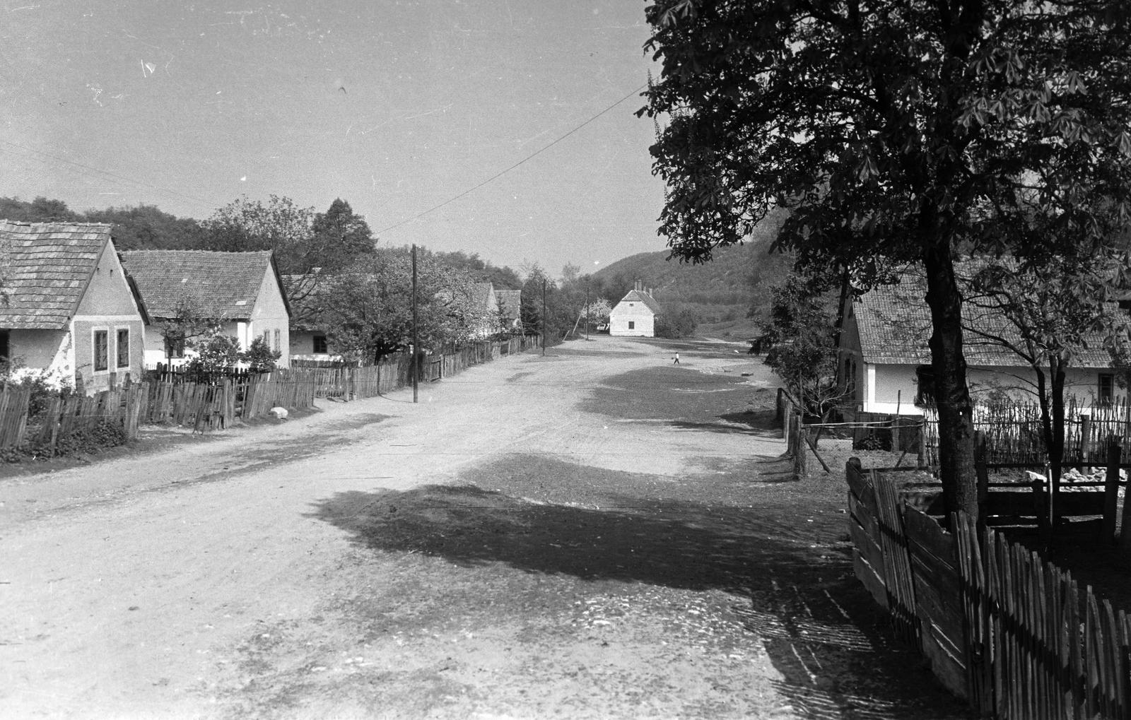 Magyarország, 1958, Gazda Anikó, Fortepan #307577