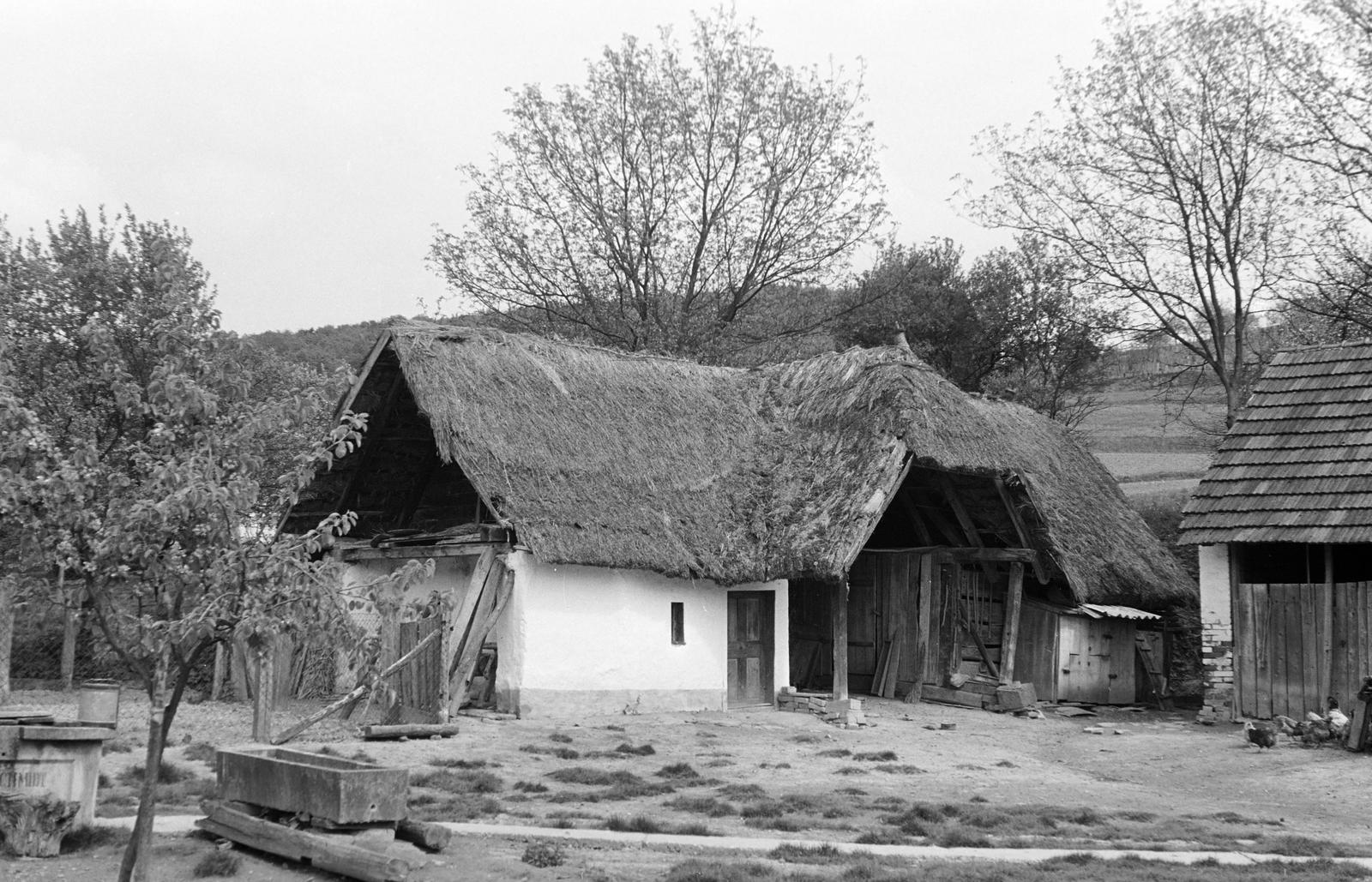 Magyarország, 1970, Gazda Anikó, parasztház, udvar, itatóvályú, Fortepan #307579