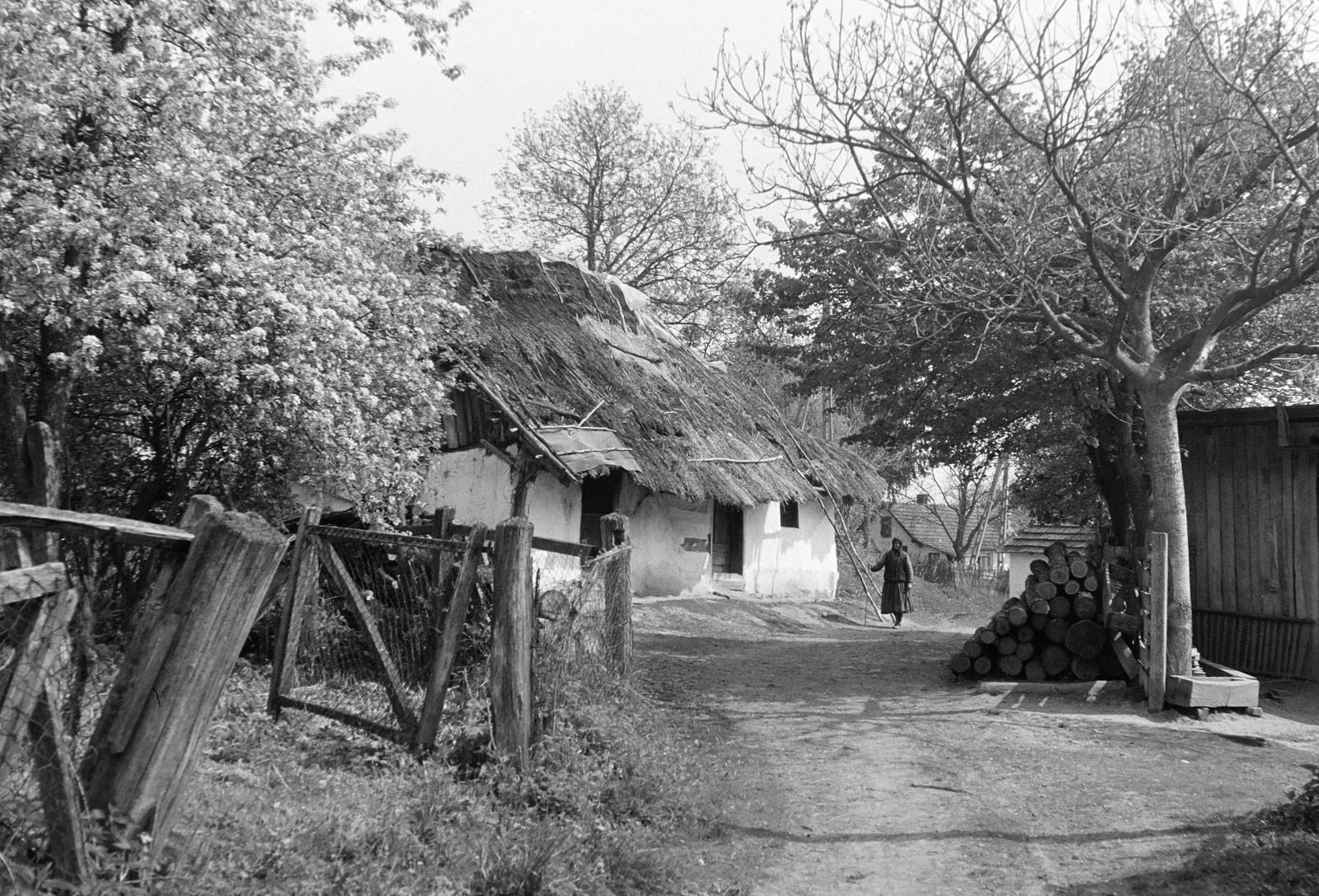 Hungary, 1970, Gazda Anikó, thatched roof, Fortepan #307583