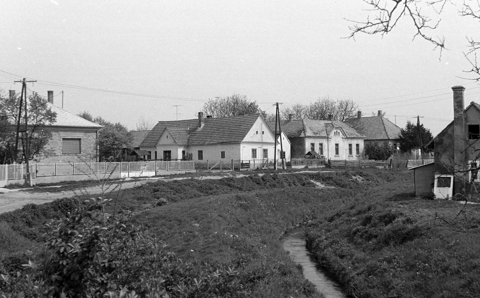 Magyarország, 1970, Gazda Anikó, Fortepan #307584