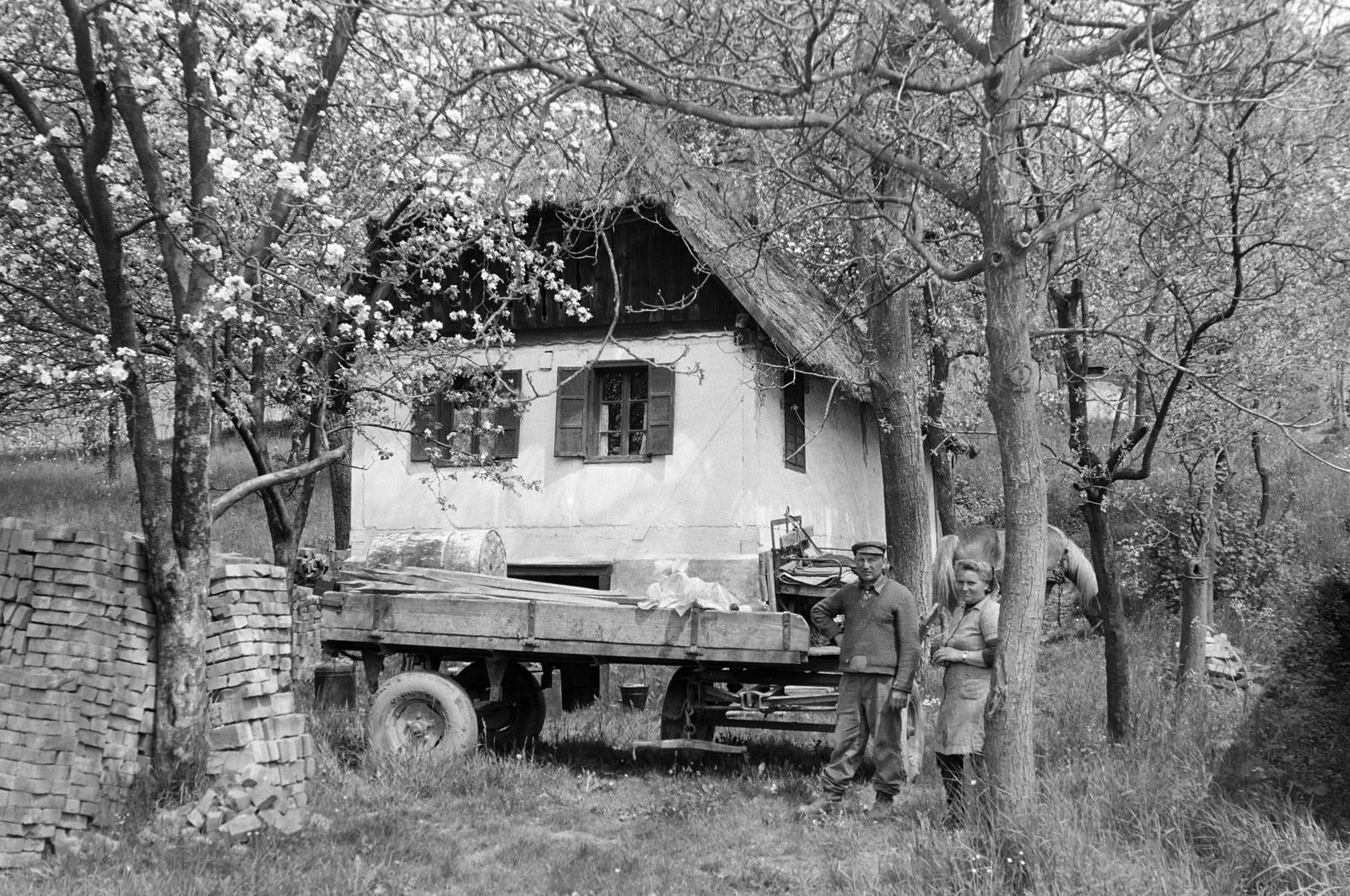 Magyarország, 1970, Gazda Anikó, Best of, ló, parasztház, tavasz, gyümölcsös, emberpár, lovaskocsi, tégla, Fortepan #307586