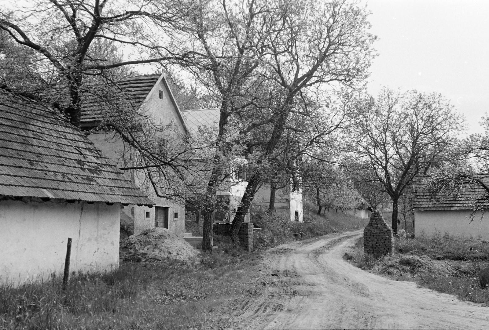 Magyarország, 1970, Gazda Anikó, Fortepan #307587