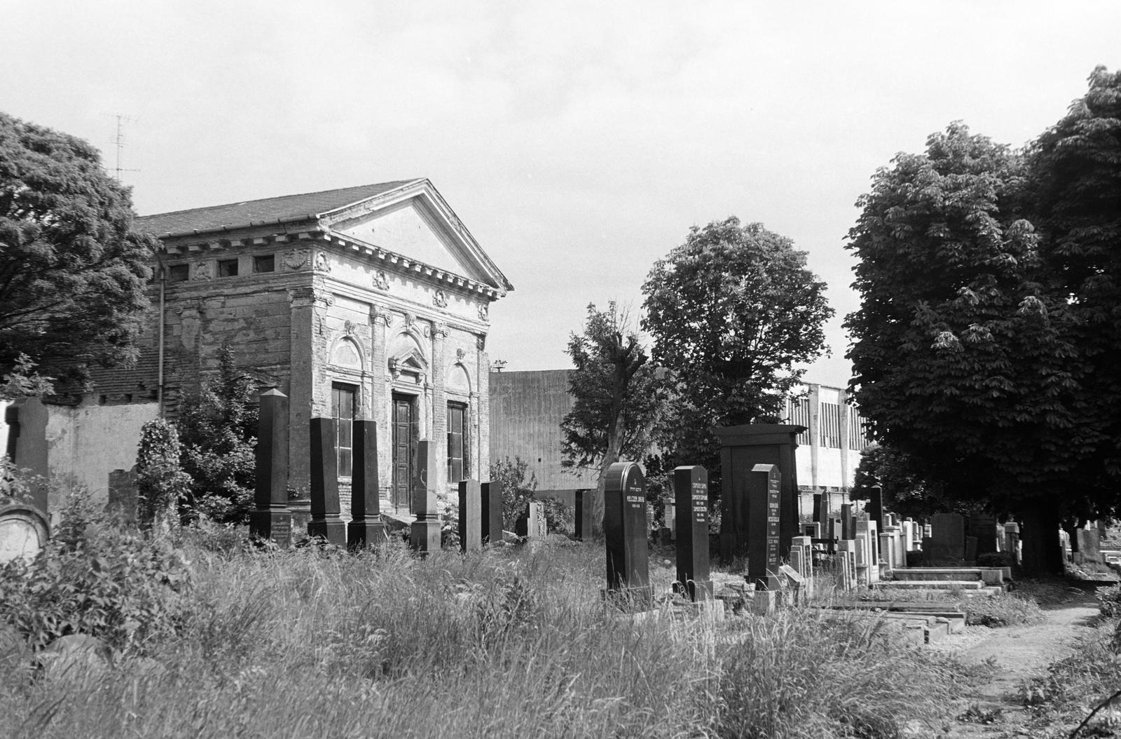 Magyarország, Nagykanizsa, Ady Endre utca, izraelita temető., 1977, Gazda Anikó, Fortepan #307617