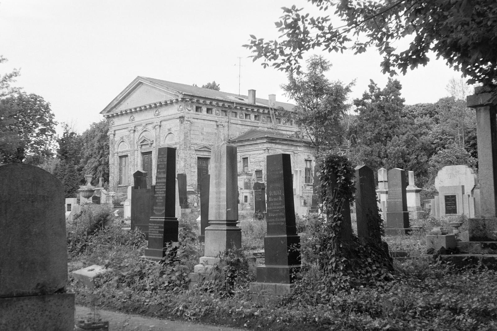 Magyarország, Nagykanizsa, Ady Endre utca, izraelita temető., 1977, Gazda Anikó, Fortepan #307618