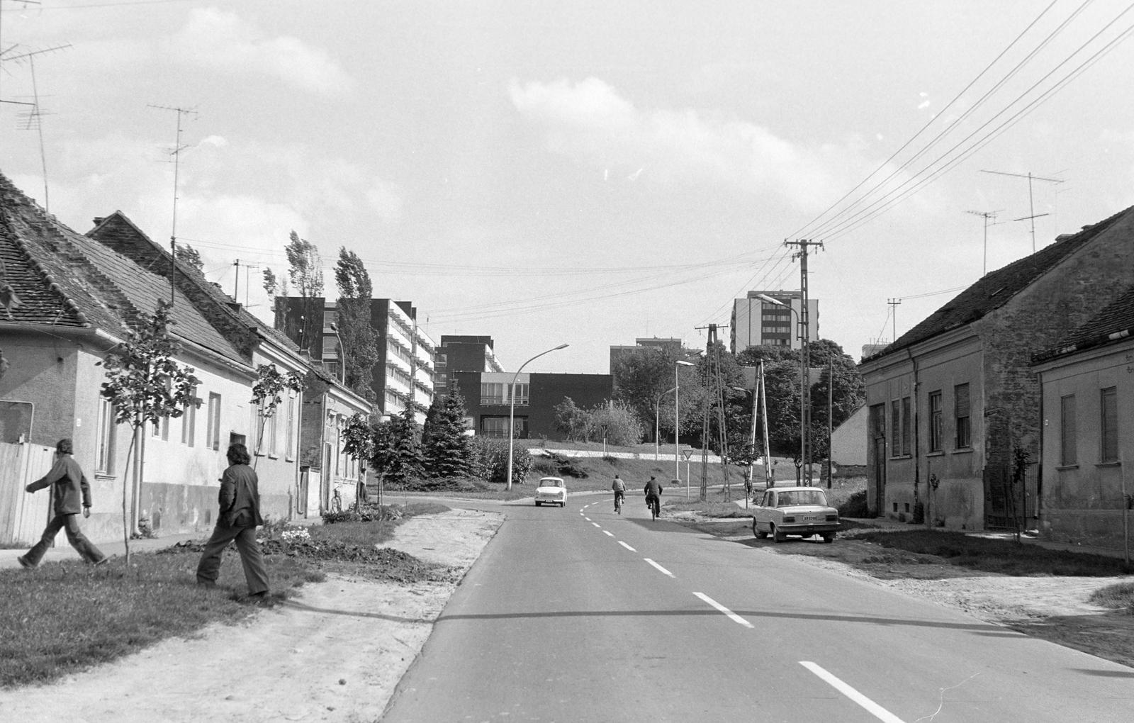 Magyarország, 1977, Gazda Anikó, Fortepan #307620