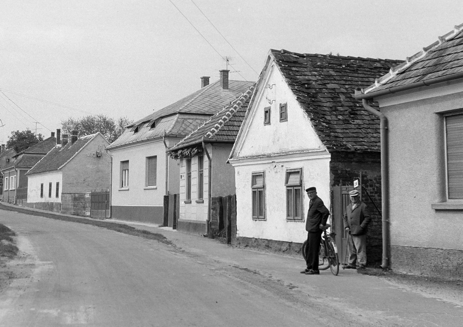 Hungary, 1977, Gazda Anikó, Fortepan #307623