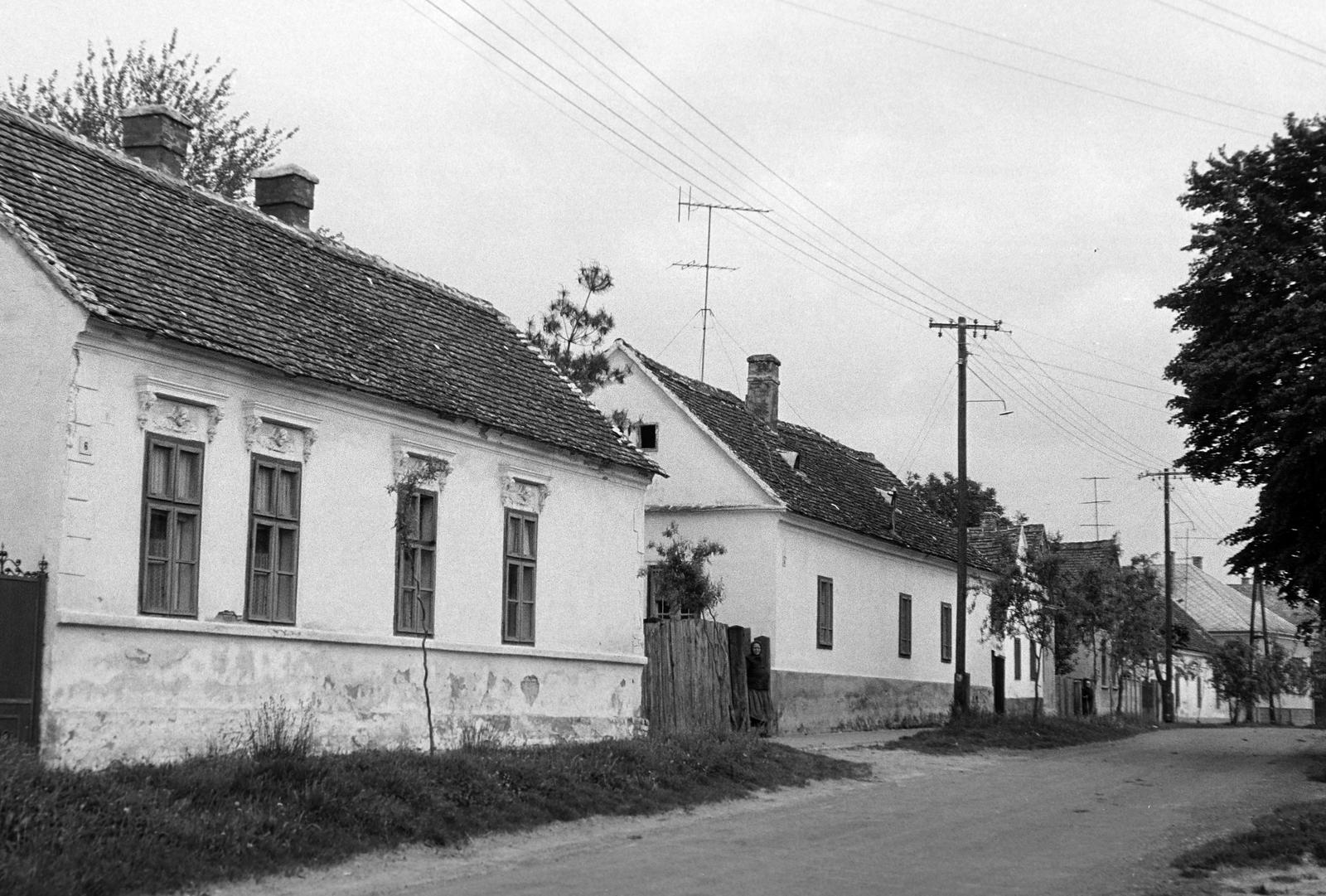 Magyarország, 1977, Gazda Anikó, Fortepan #307624