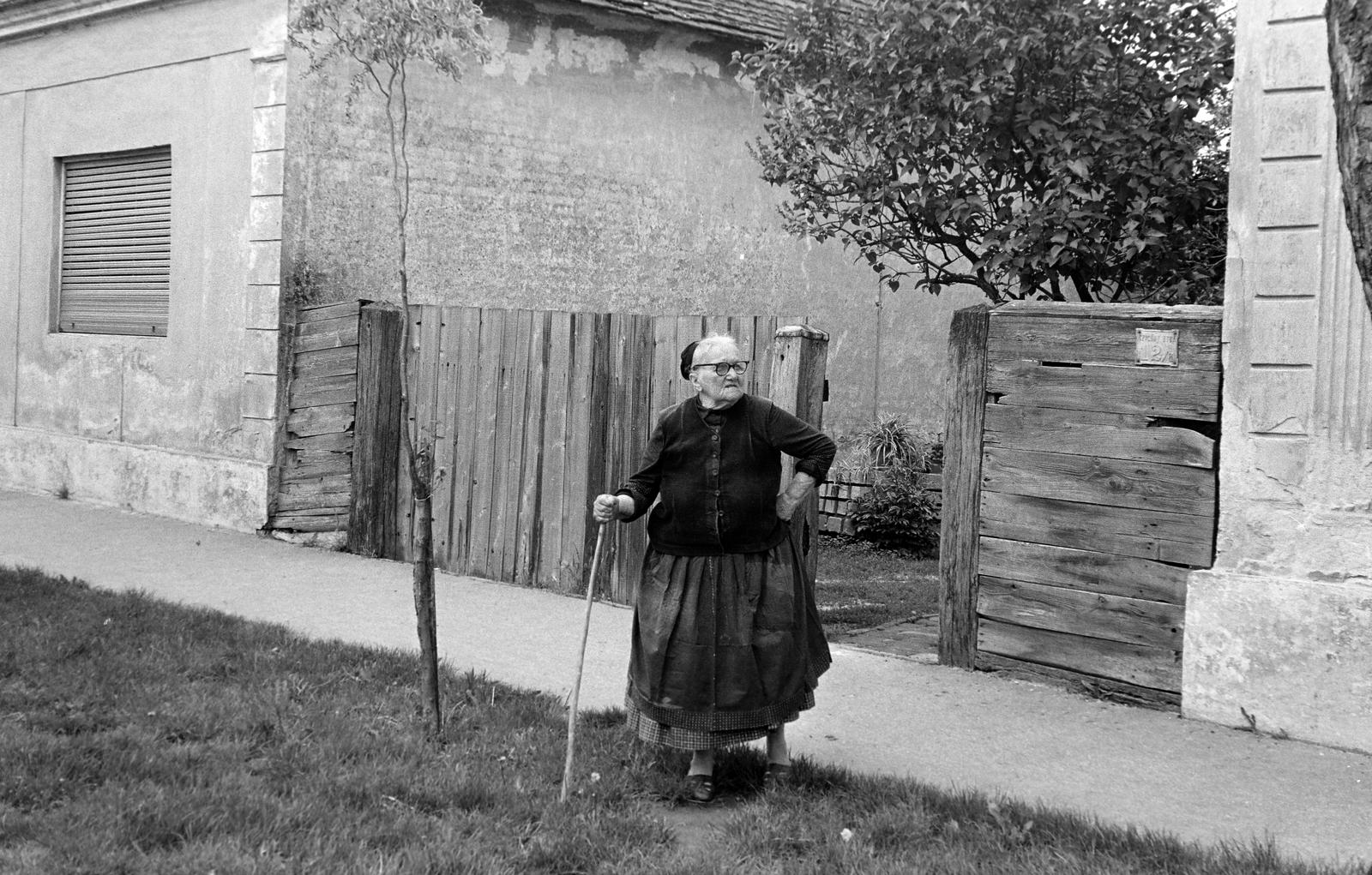 Magyarország, 1977, Gazda Anikó, Fortepan #307625