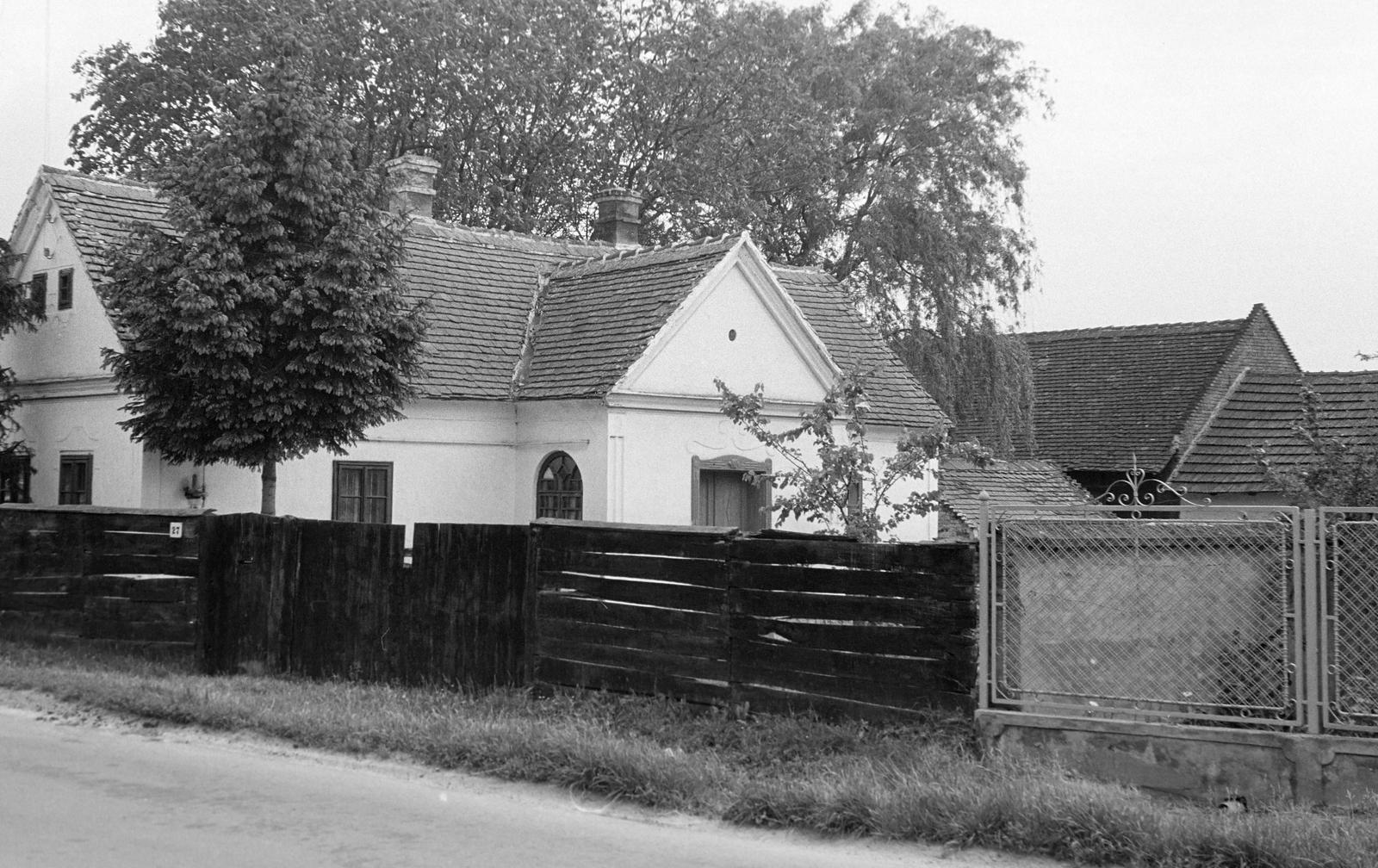 Magyarország, 1977, Gazda Anikó, Fortepan #307626