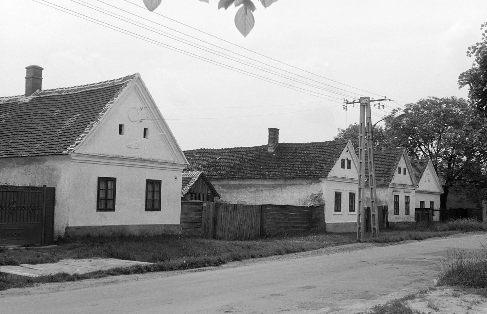 Magyarország, 1977, Gazda Anikó, Fortepan #307627