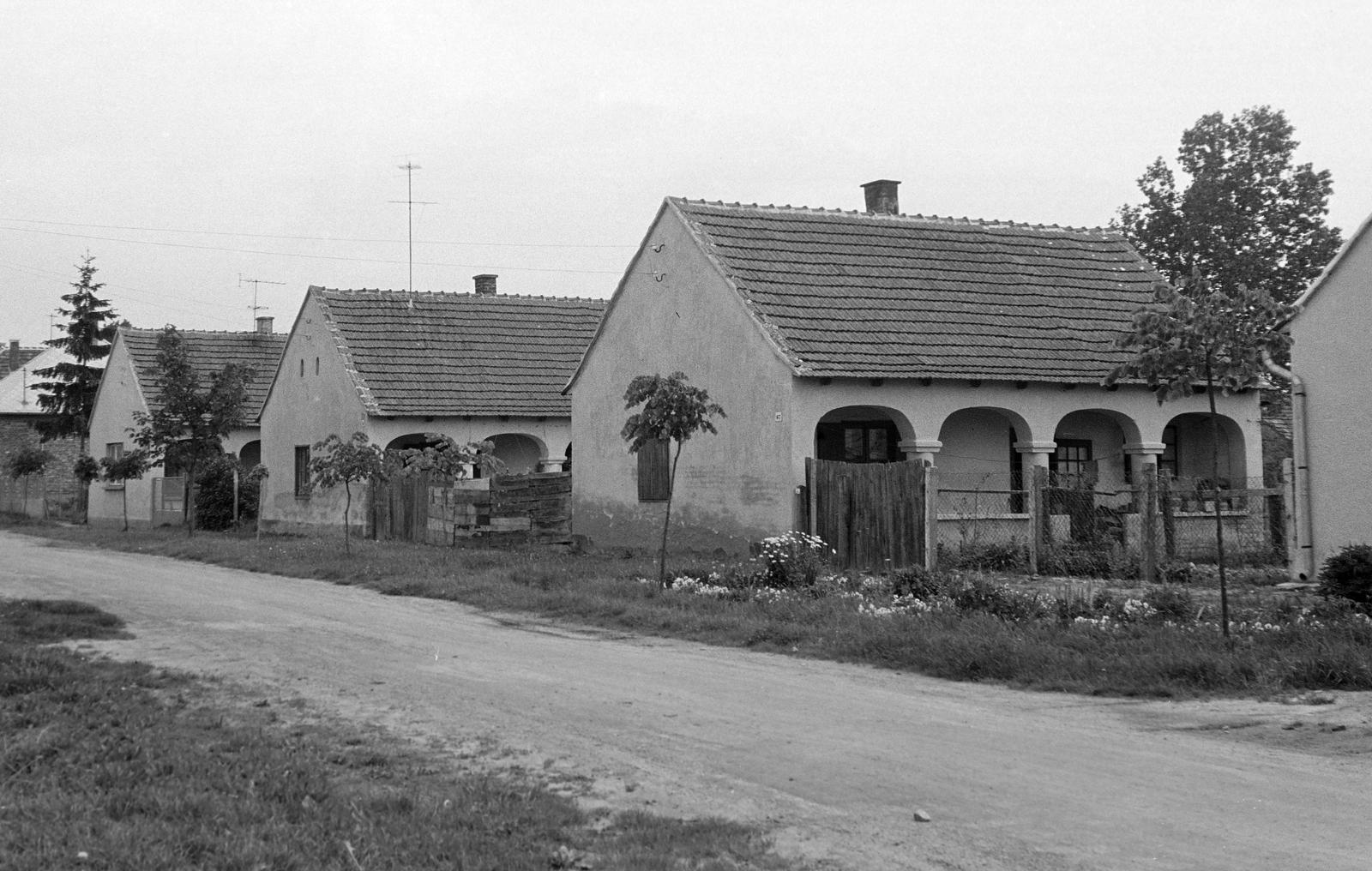 Magyarország, 1977, Gazda Anikó, Fortepan #307628