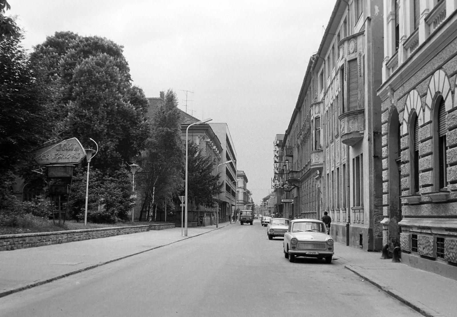 Magyarország, Nagykanizsa, Sugár út, balra a park a Rozgonyi utca sarkán., 1977, Gazda Anikó, Fortepan #307632