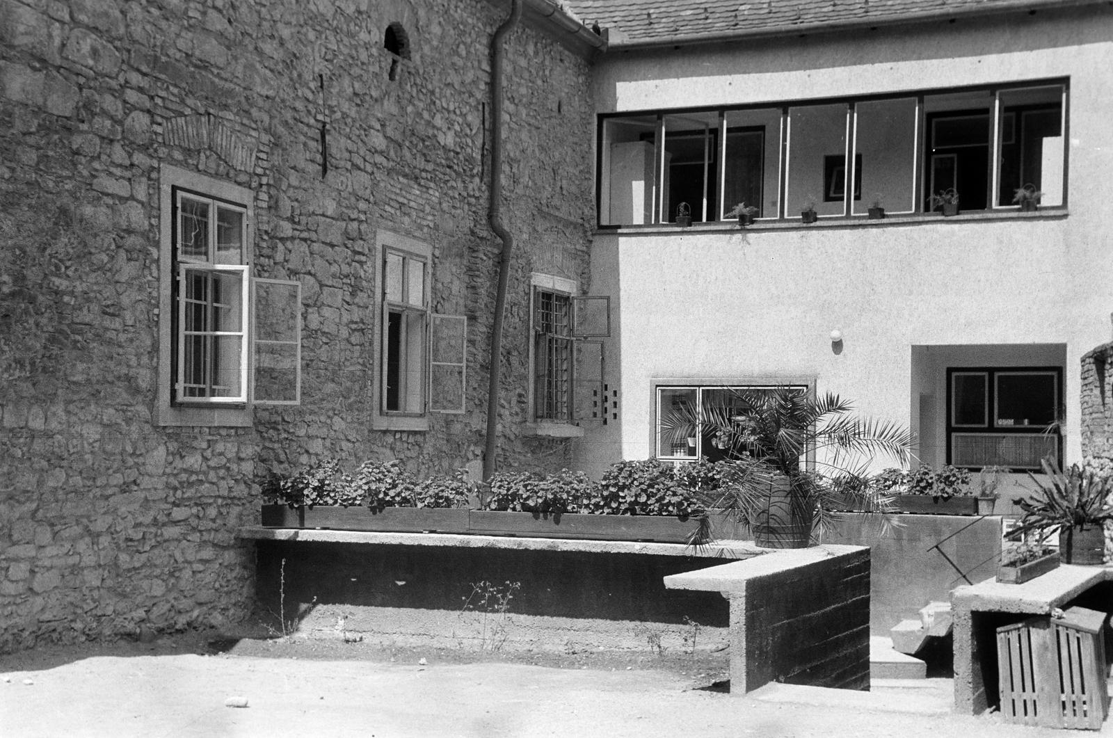 Magyarország, 1964, Gazda Anikó, Fortepan #307635