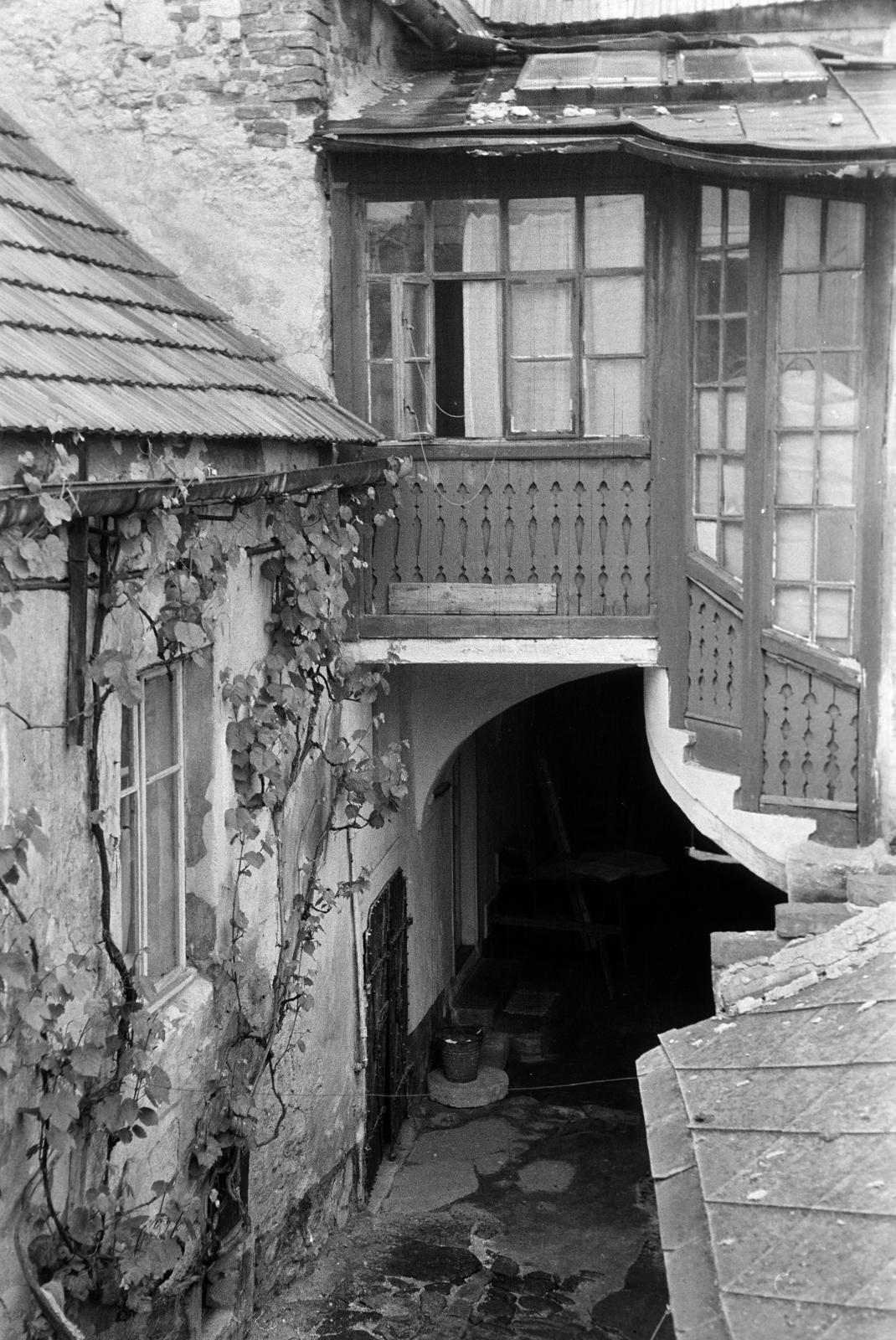 Magyarország, 1964, Gazda Anikó, Fortepan #307638