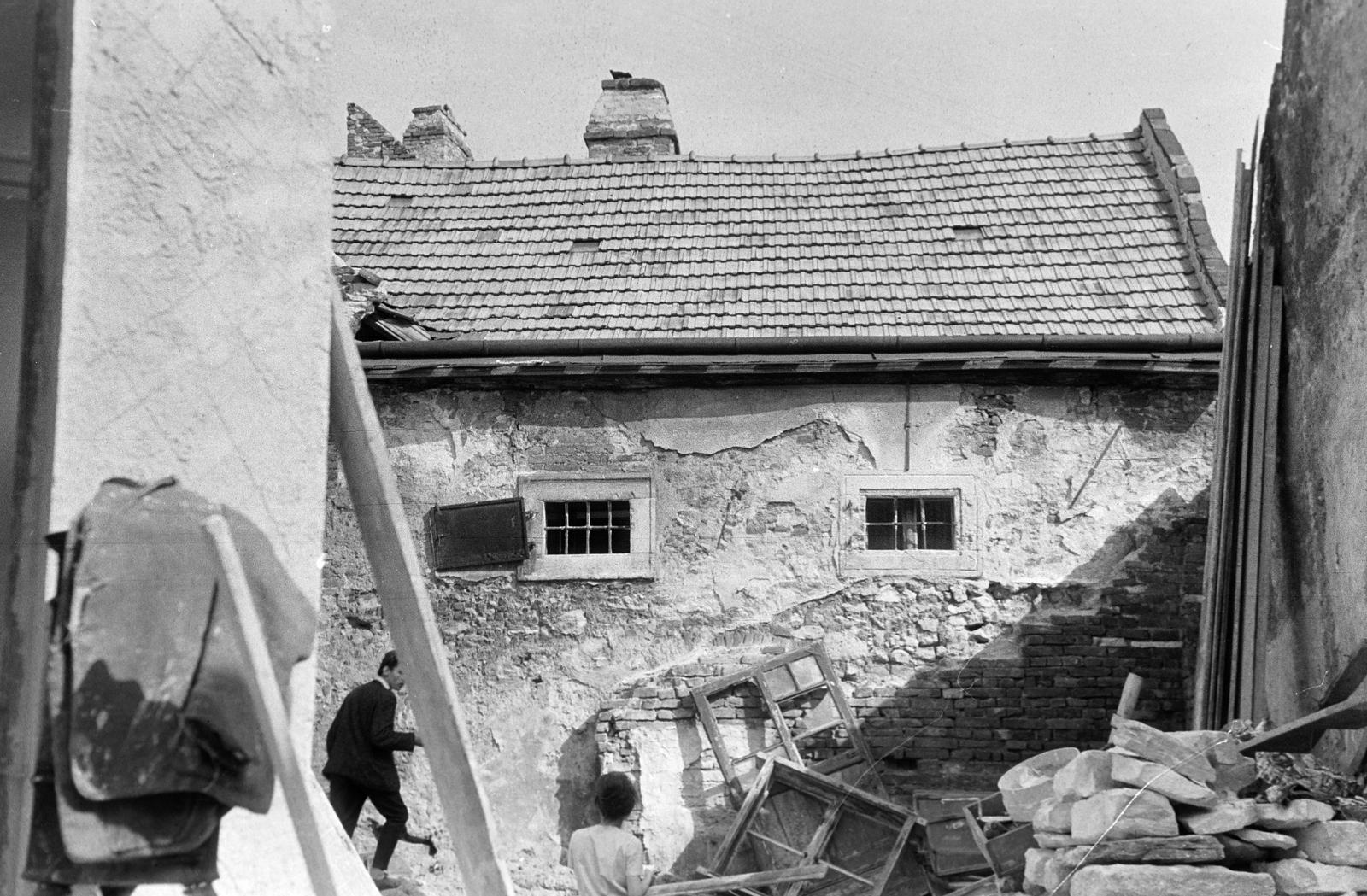 Magyarország, 1964, Gazda Anikó, Fortepan #307642