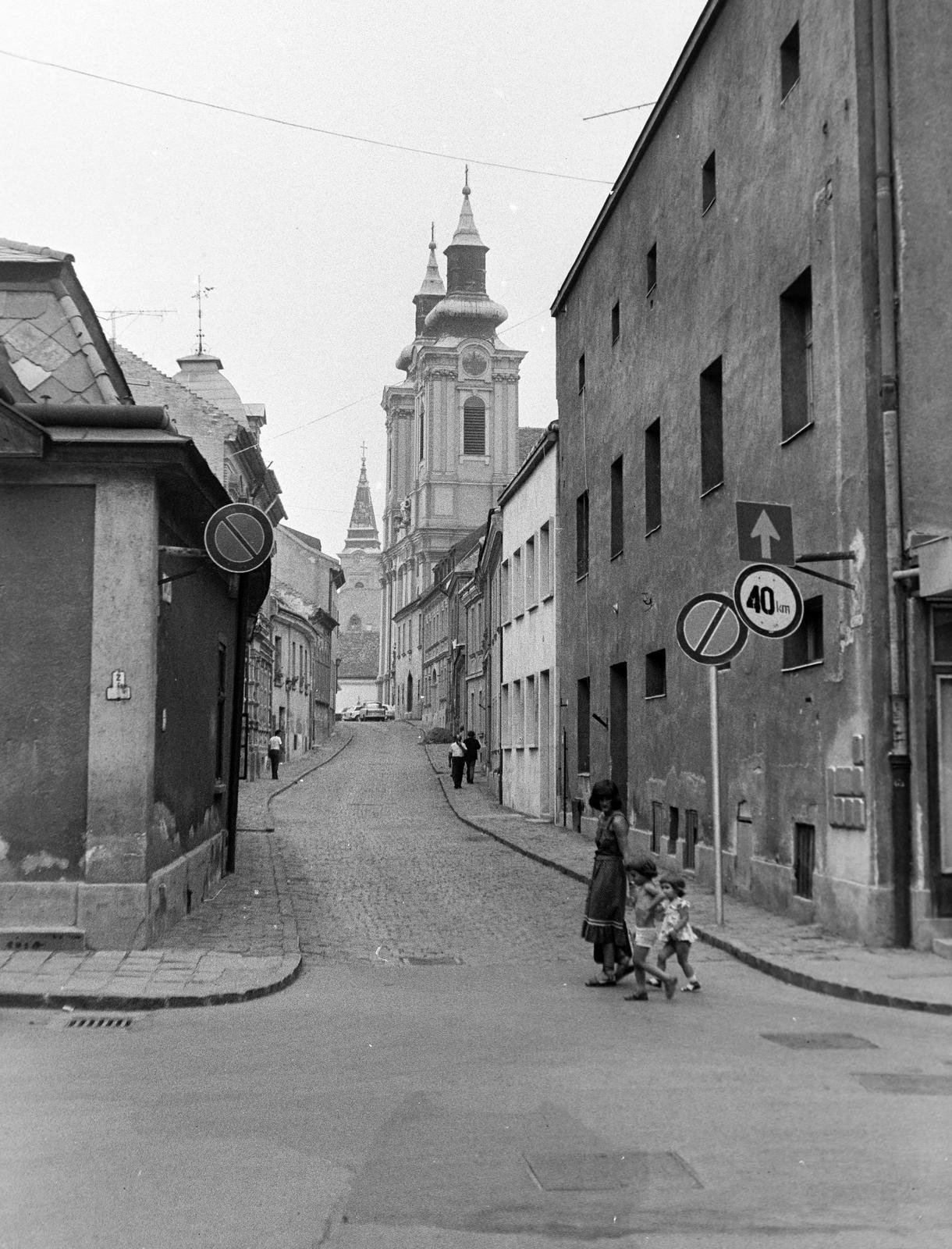 Magyarország, Székesfehérvár, Arany János utca, jobbra a Szent István-székesegyház, háttérben a Szent Imre-templom tornya, a felvétel a Maulbertsch-kút közelében készült., 1977, Gazda Anikó, Fortepan #307644