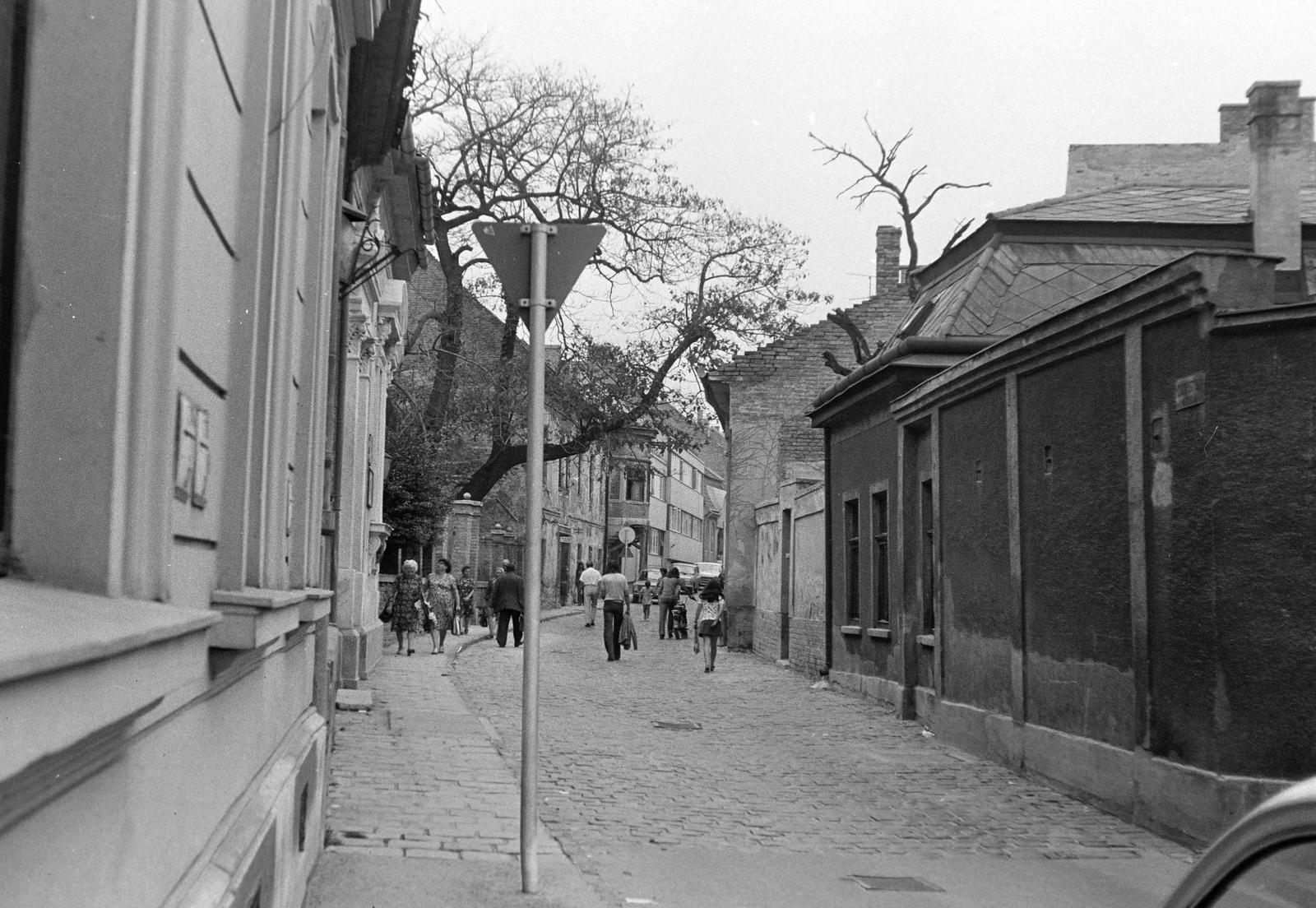 Magyarország, Székesfehérvár, Megyeháza (Csók István) utca, a felvétel a Szent István tér közelében készült., 1977, Gazda Anikó, Fortepan #307645