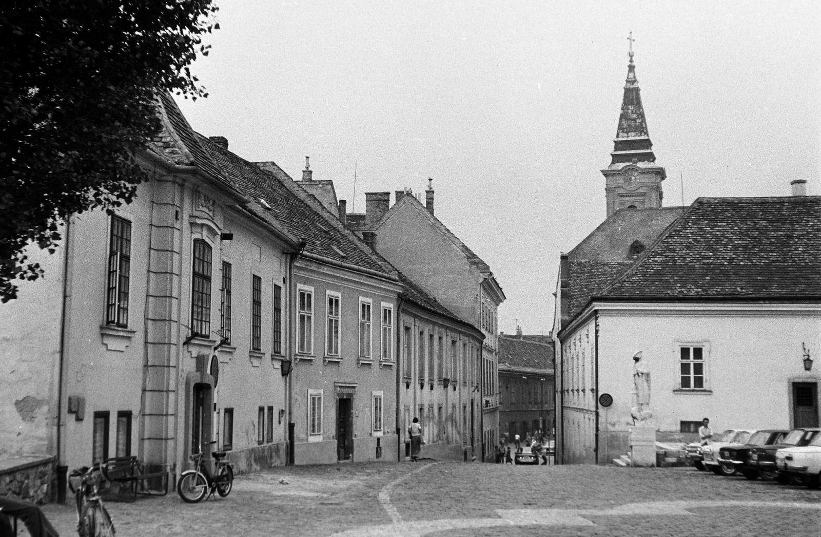 Magyarország, Székesfehérvár, Arany János utca, a felvétel a Szent István-székesegyház előtt készült. Szemben Kálmáncsehi Domonkos-szobra, a háztető felett a Szent Imre-templom tornya látható., 1977, Gazda Anikó, Fortepan #307647