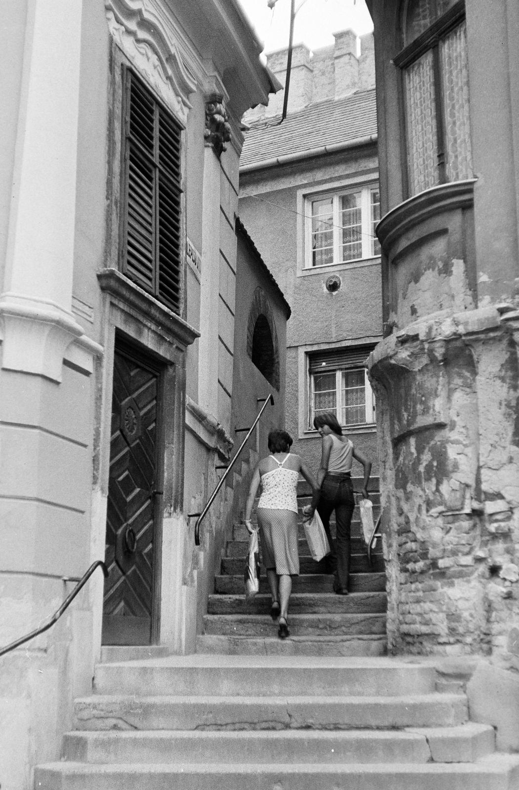 Magyarország, Székesfehérvár, Liszt Ferenc utca, szemben a Megyeháza (Csók István) utca felé vezető Lépcső utca., 1977, Gazda Anikó, Fortepan #307652