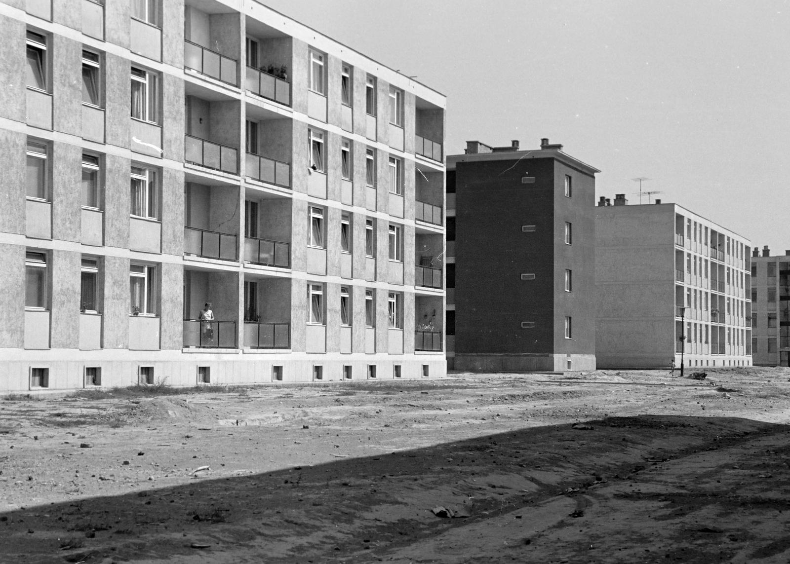 Magyarország, 1963, Gazda Anikó, lakótelep, Fortepan #307662
