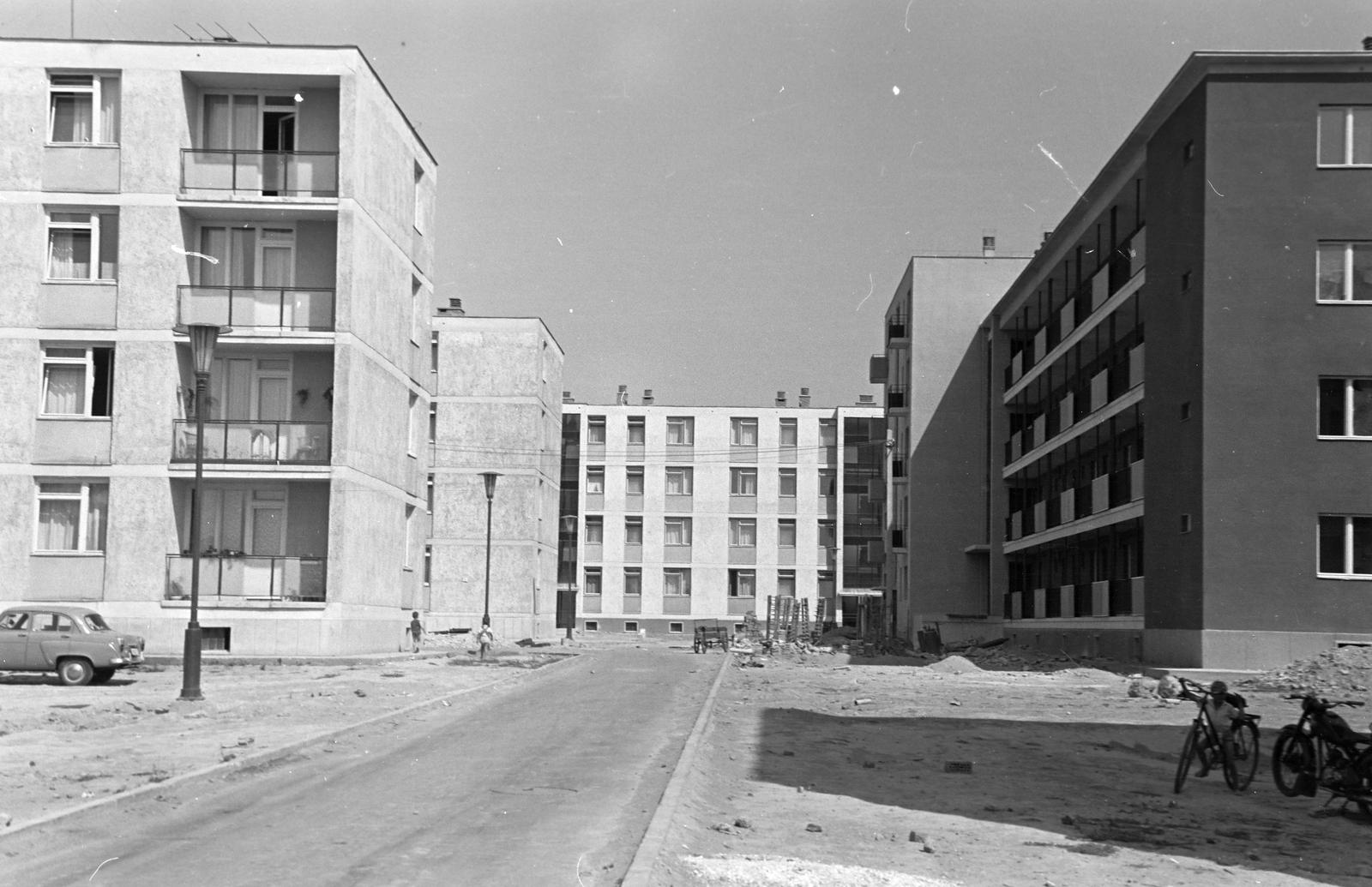 Magyarország, 1963, Gazda Anikó, Fortepan #307663