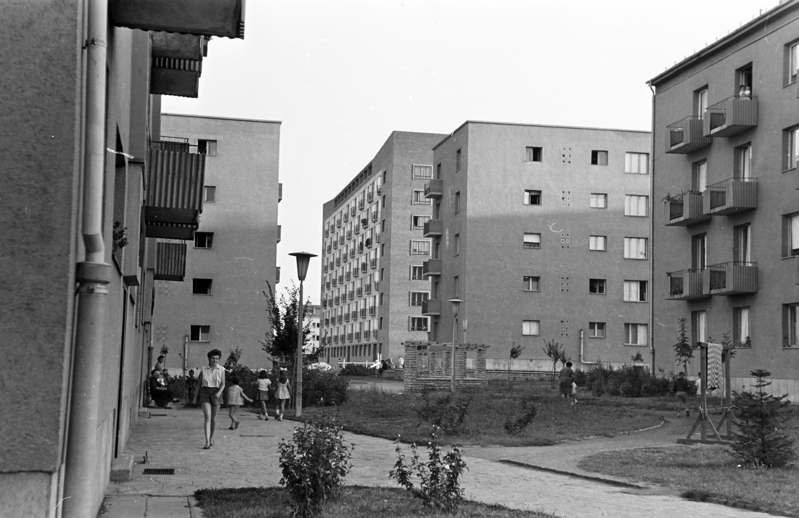 Magyarország, 1963, Gazda Anikó, Fortepan #307673