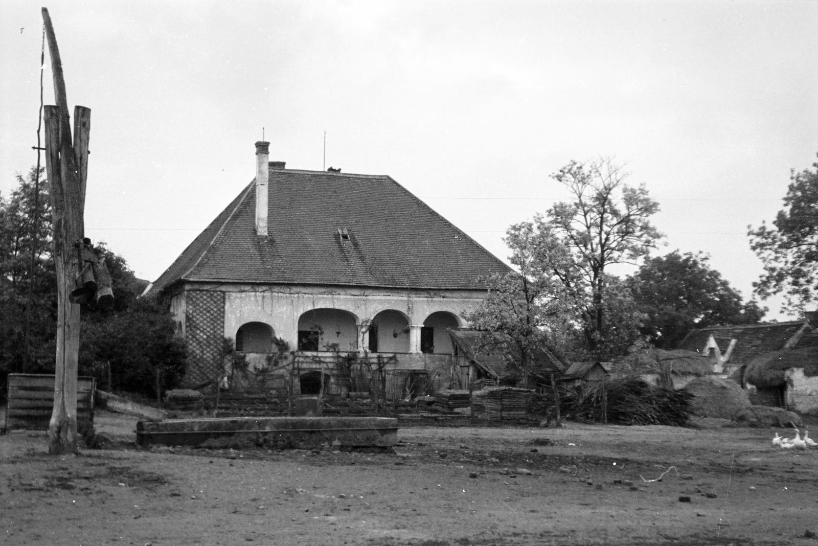 Magyarország, Rum, a Rumy család ősi várkastélyának megmaradt része., 1960, Gazda Anikó, itatóvályú, kémény, tornác, tanya, gémeskút, Fortepan #307680
