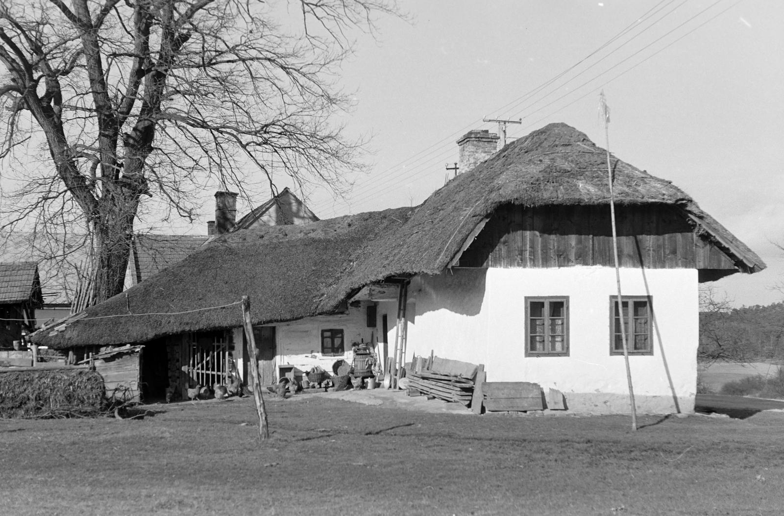 Magyarország, 1960, Gazda Anikó, parasztház, Fortepan #307683