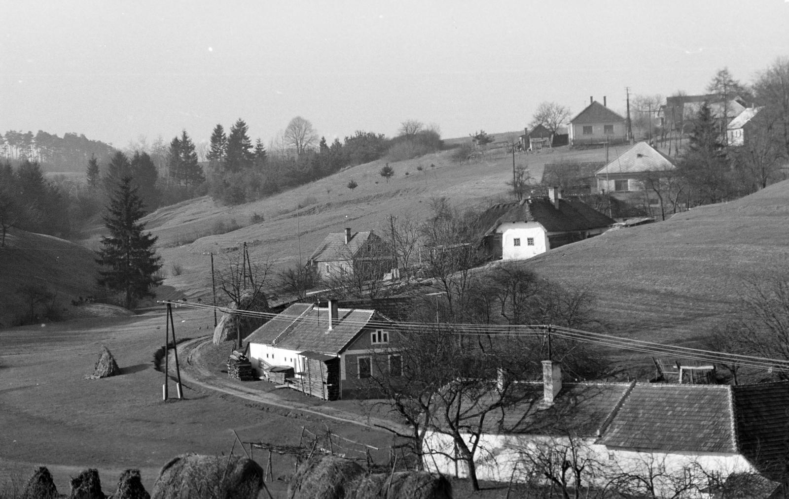 Magyarország, 1960, Gazda Anikó, Fortepan #307685