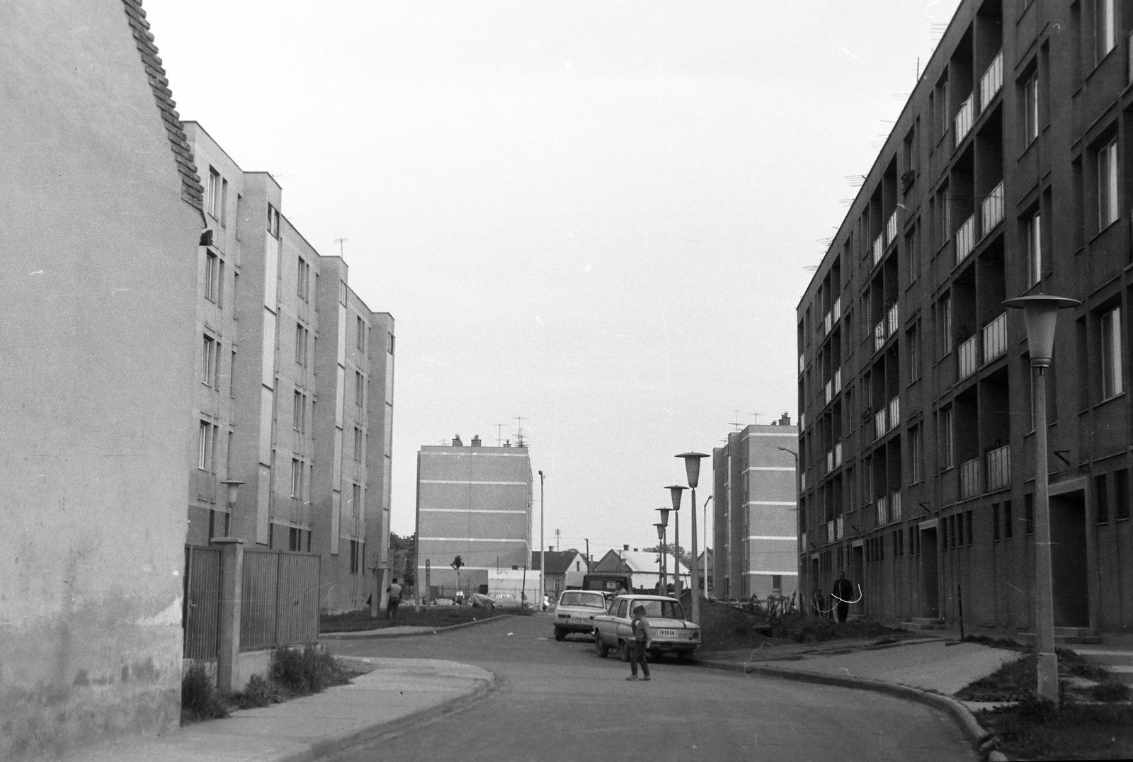 Magyarország, 1969, Gazda Anikó, Fortepan #307691