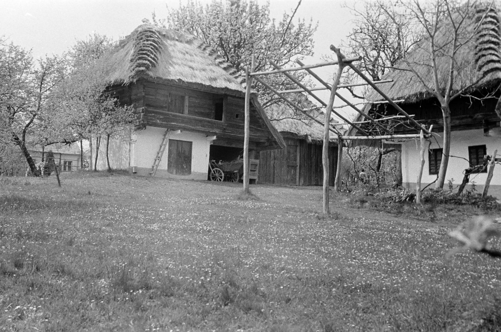 Hungary, 1969, Gazda Anikó, harrow house, Fortepan #307697