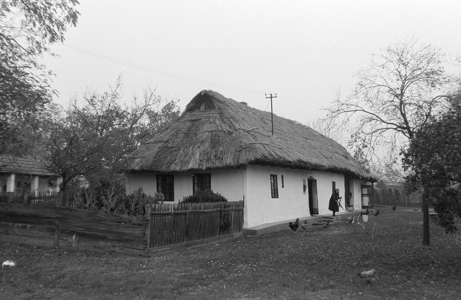Magyarország, 1970, Gazda Anikó, parasztház, léckerítés, baromfi, Fortepan #307700
