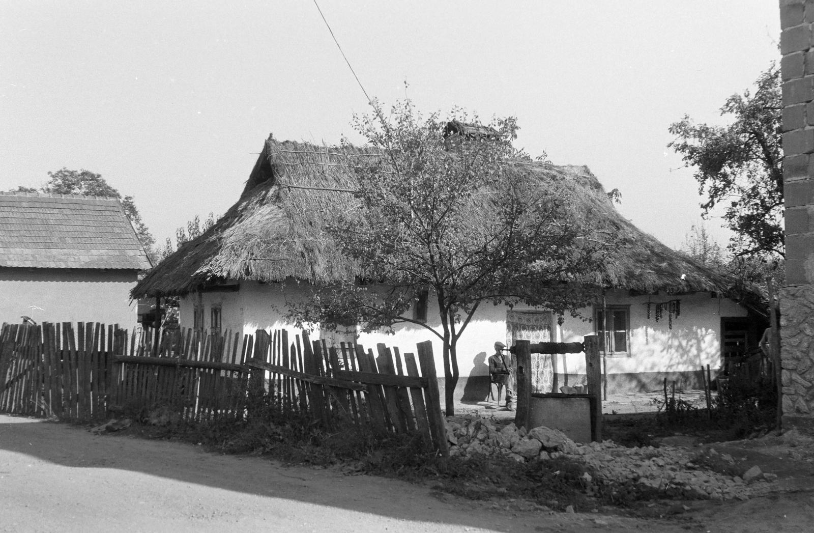 Magyarország, 1967, Gazda Anikó, Fortepan #307706