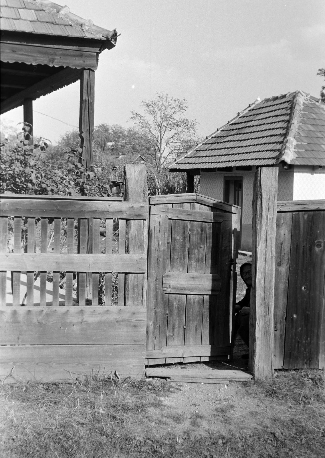 Magyarország, 1967, Gazda Anikó, Fortepan #307707