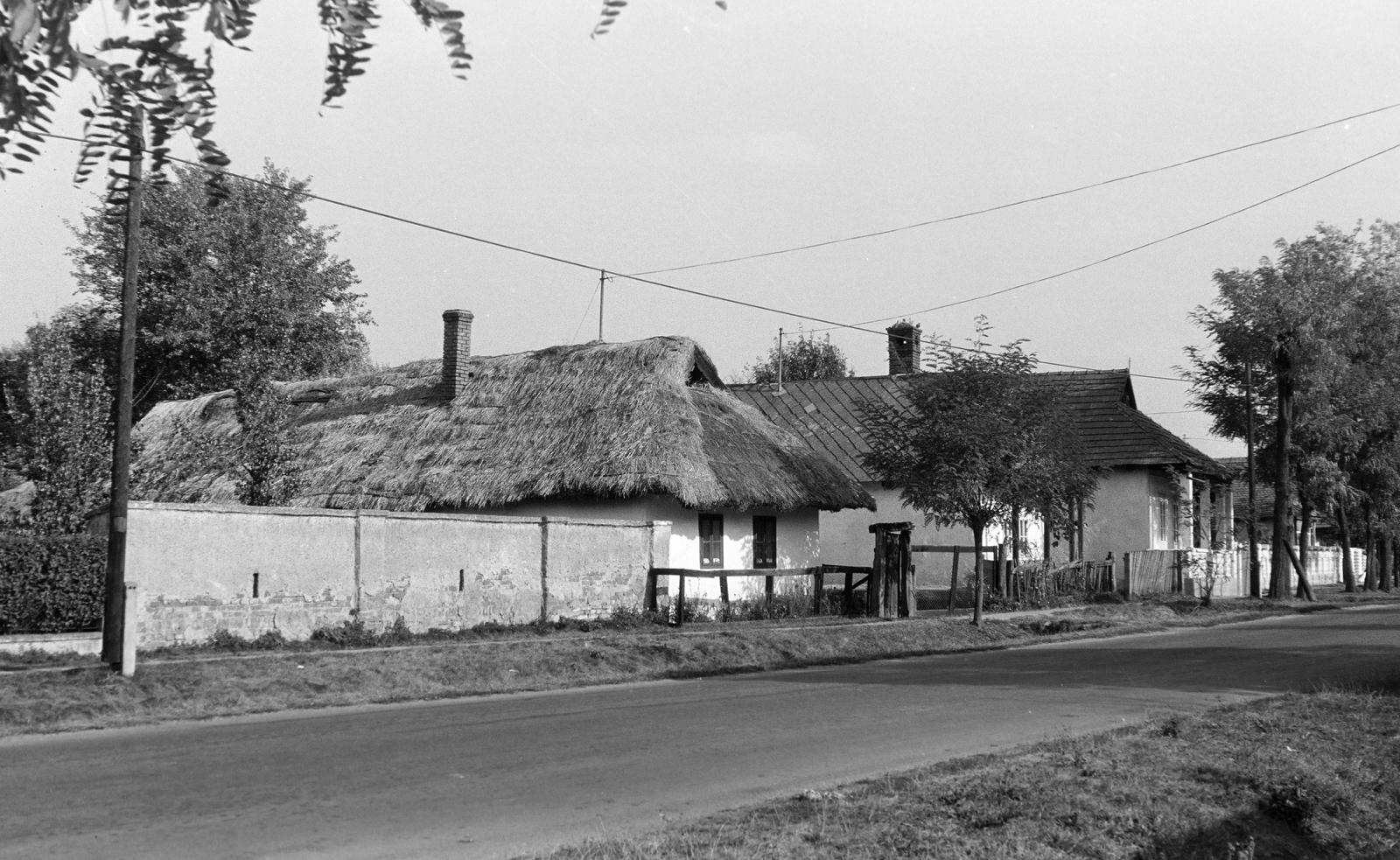 Magyarország, 1967, Gazda Anikó, Fortepan #307709