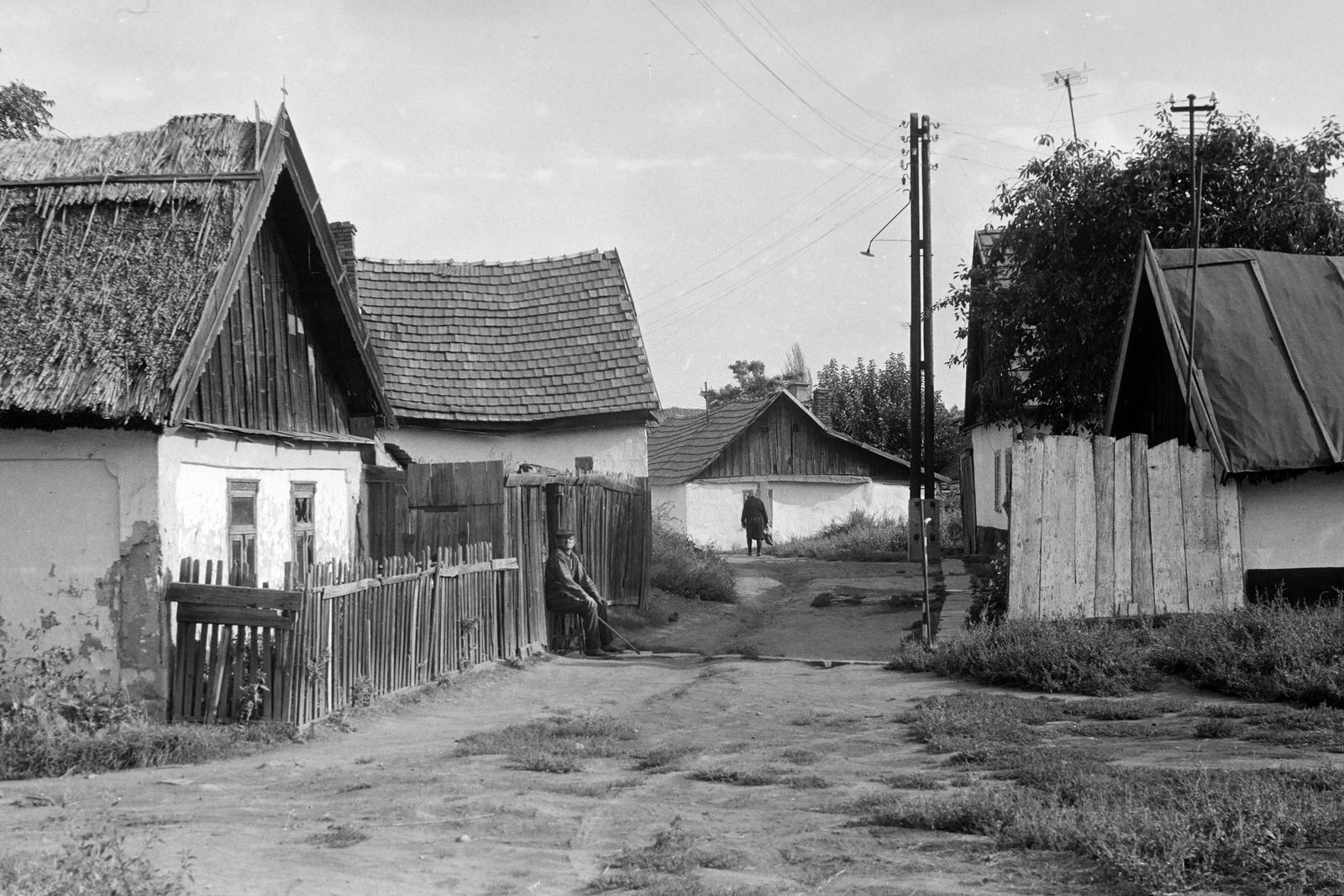 Hungary, 1969, Gazda Anikó, Fortepan #307718