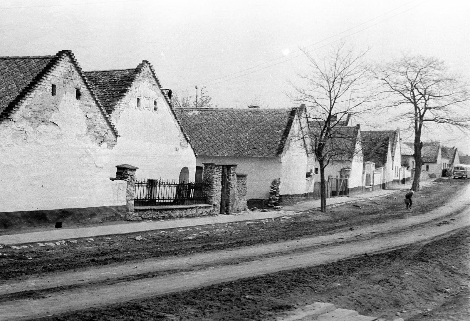 Magyarország, 1961, Gazda Anikó, utcakép, lakóház, földút, Fortepan #307724