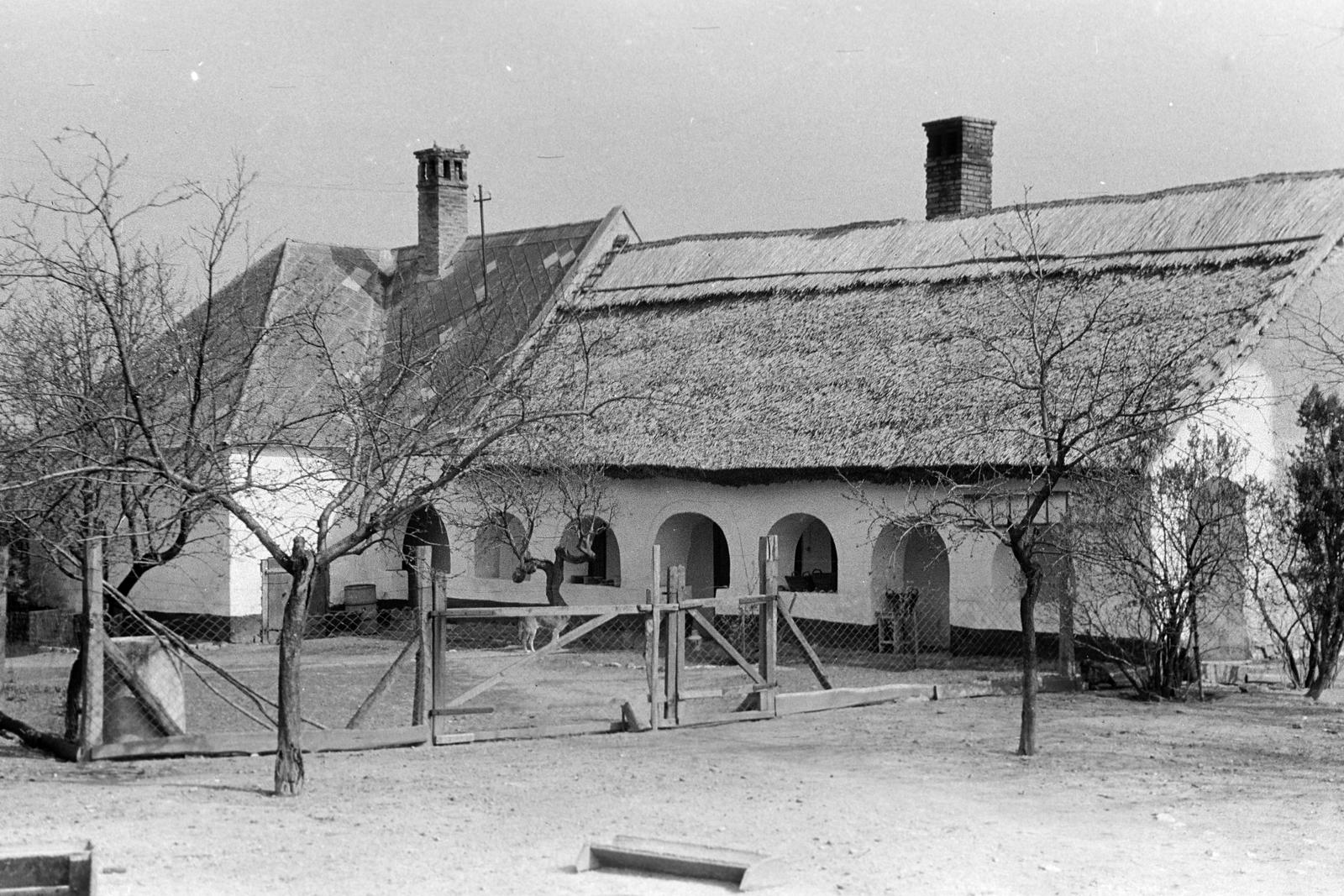 Hungary, 1961, Gazda Anikó, chimney, chain-link fence, thatched roof, porch, Fortepan #307726