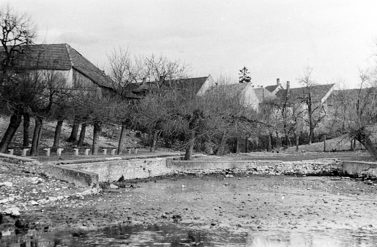 Magyarország, 1960, Gazda Anikó, Fortepan #307744