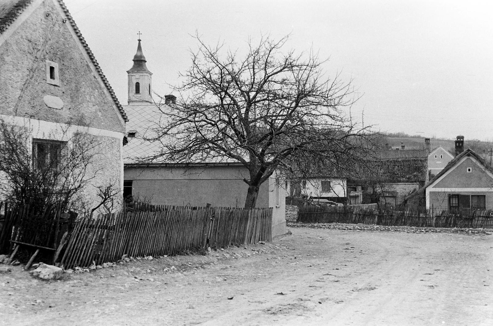 Magyarország, 1960, Gazda Anikó, Fortepan #307745