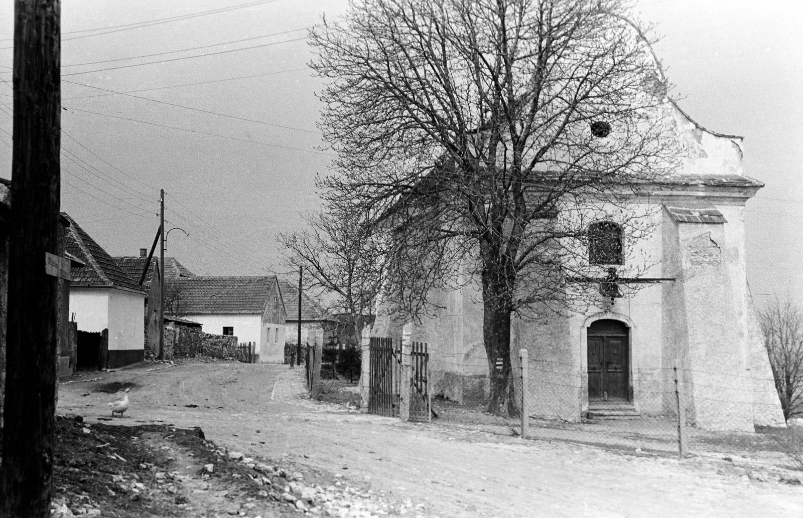 Magyarország, Nagyvázsony, Temető út, evangélikus templom., 1960, Gazda Anikó, Fortepan #307746