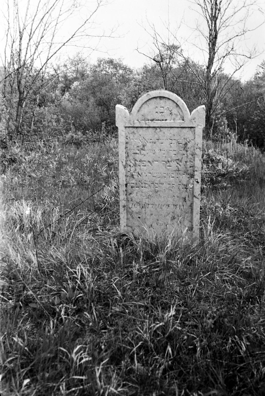 Magyarország, 1958, Gazda Anikó, héber írás, sírkő, zsidóság, temető, Fortepan #307753