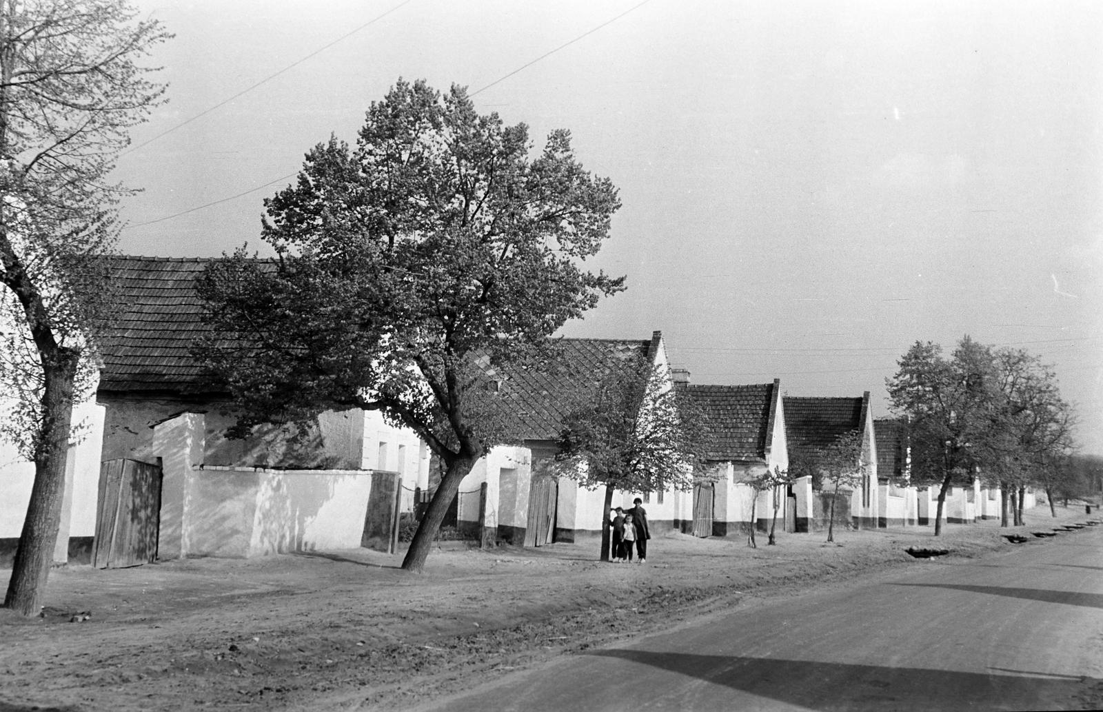 Magyarország, 1958, Gazda Anikó, palatető, lakóház, cseréptető, utcakép, falu, Fortepan #307755