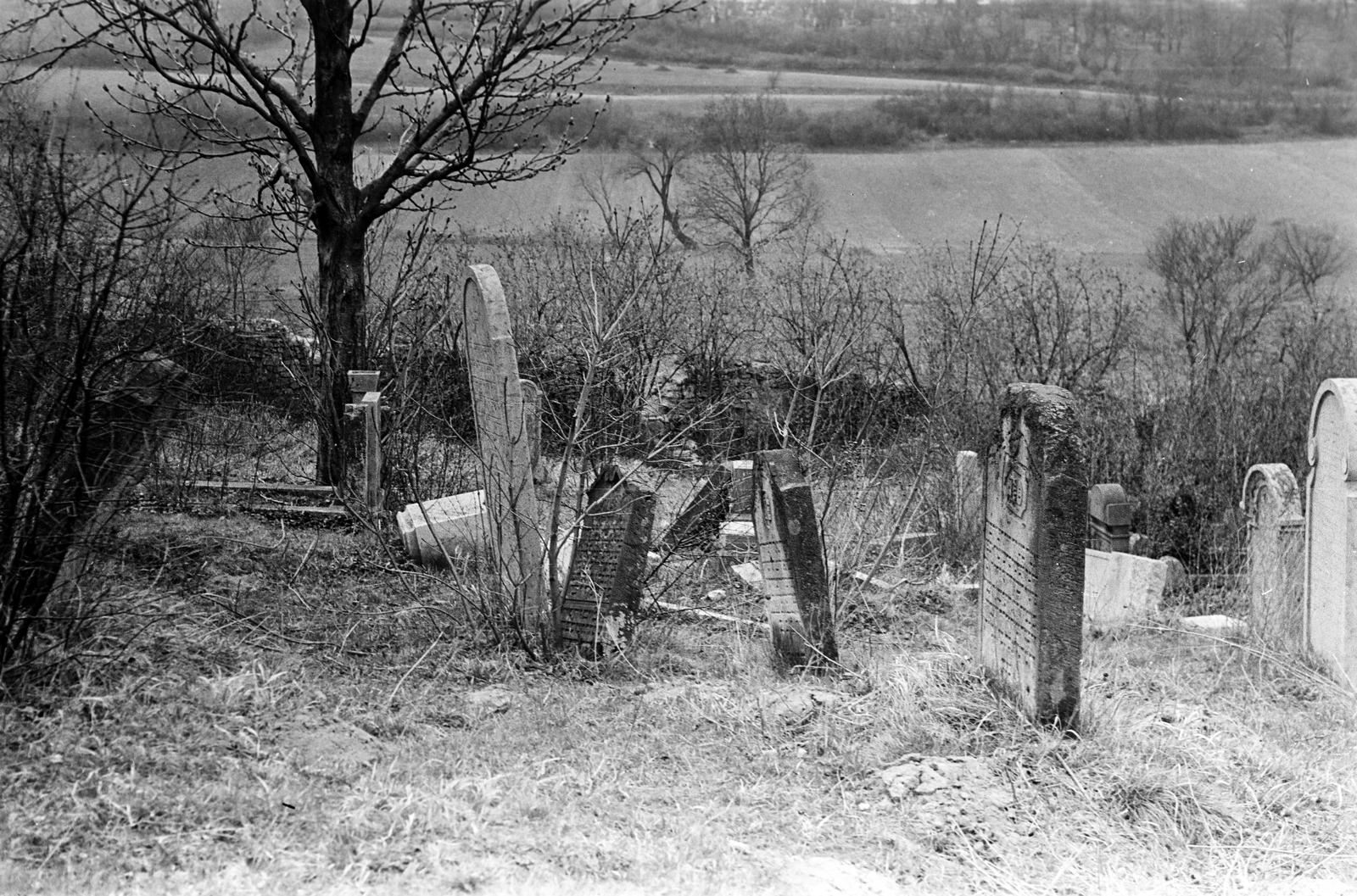 Magyarország, 1958, Gazda Anikó, Fortepan #307757