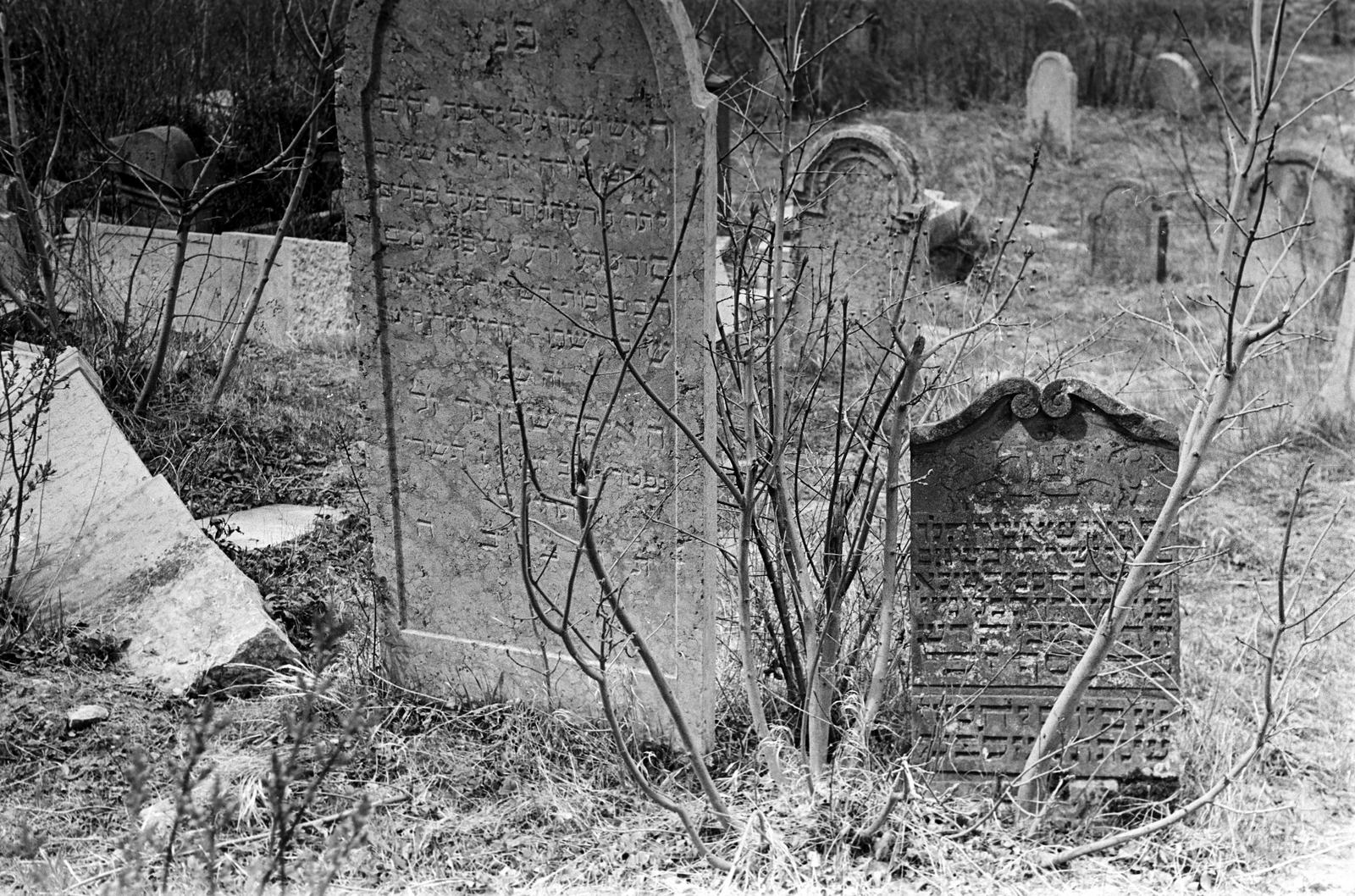 Magyarország, 1958, Gazda Anikó, zsidóság, héber írás, sírkő, temető, Fortepan #307758