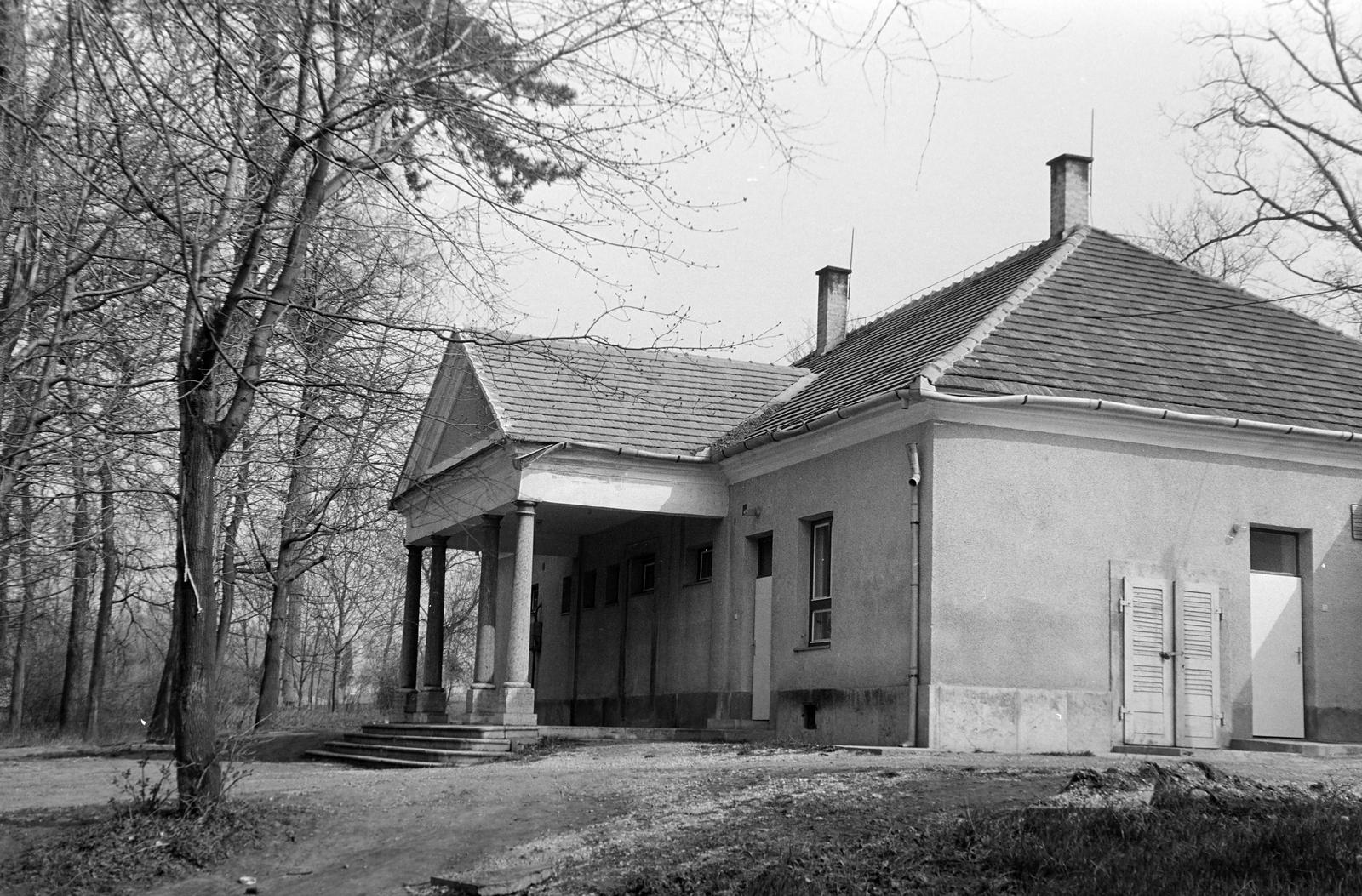 Magyarország, 1973, Gazda Anikó, Fortepan #307771