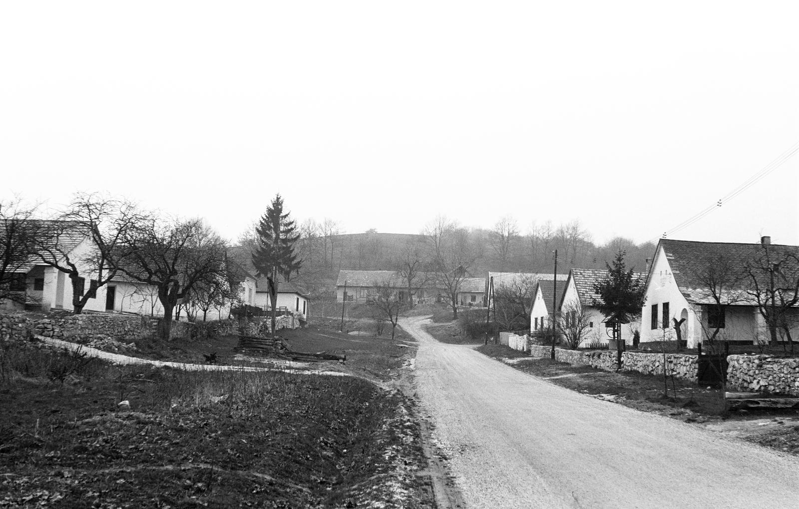 Hungary, 1973, Gazda Anikó, Fortepan #307781