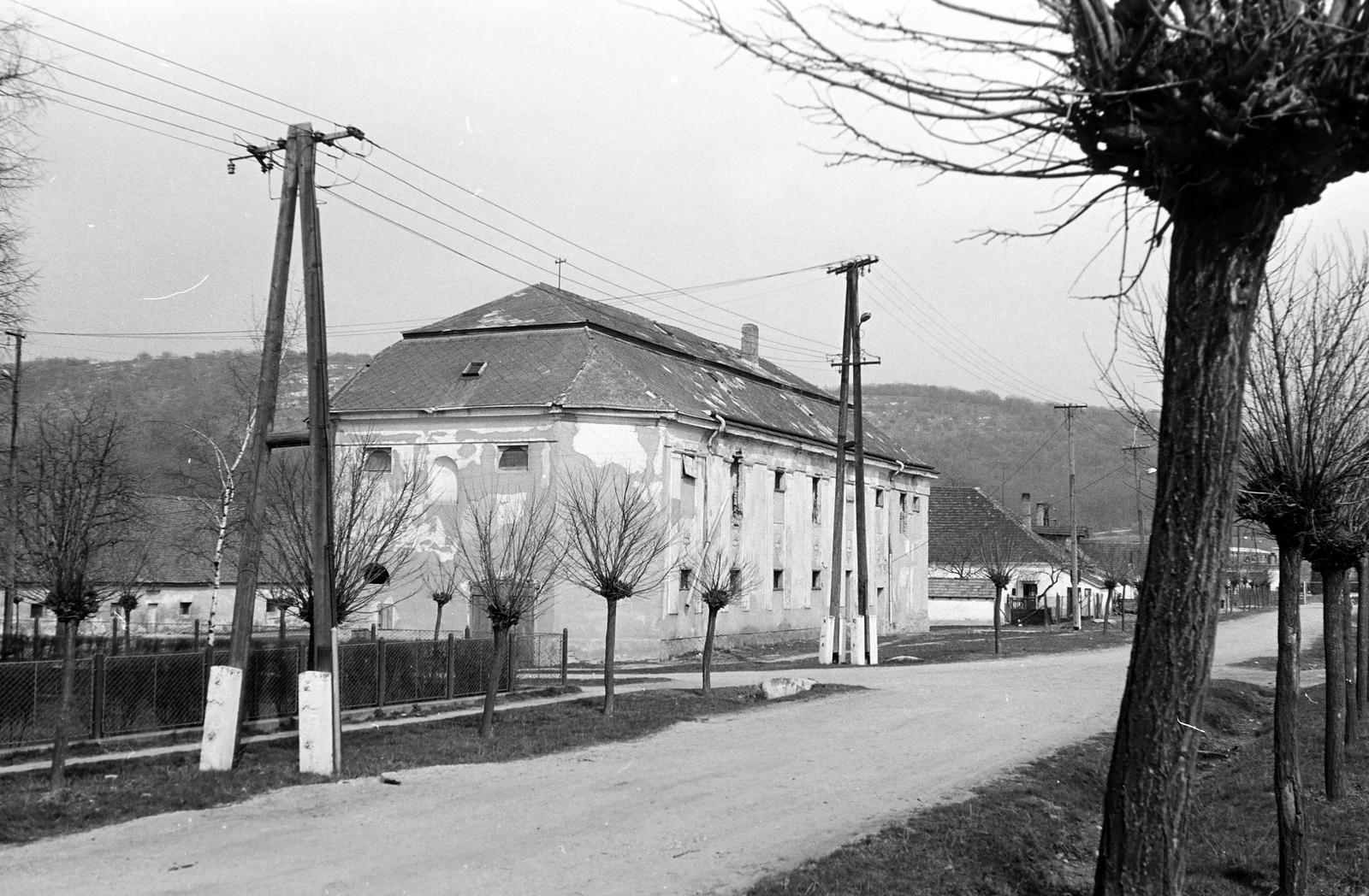 Hungary, 1973, Gazda Anikó, Fortepan #307782